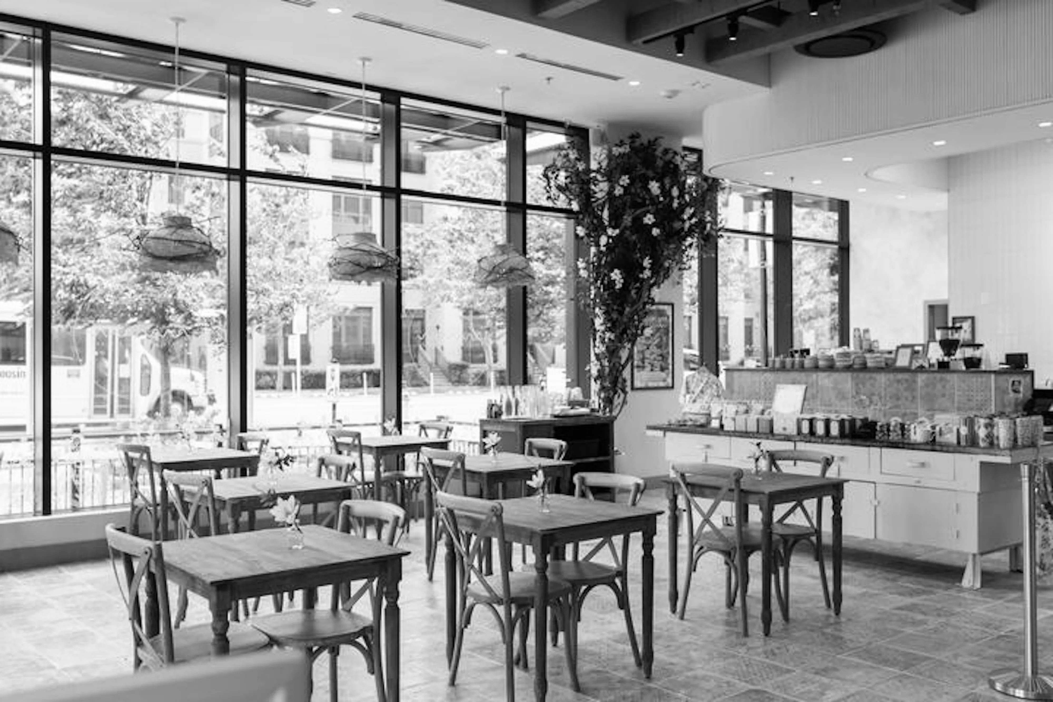 maman crystal city interior