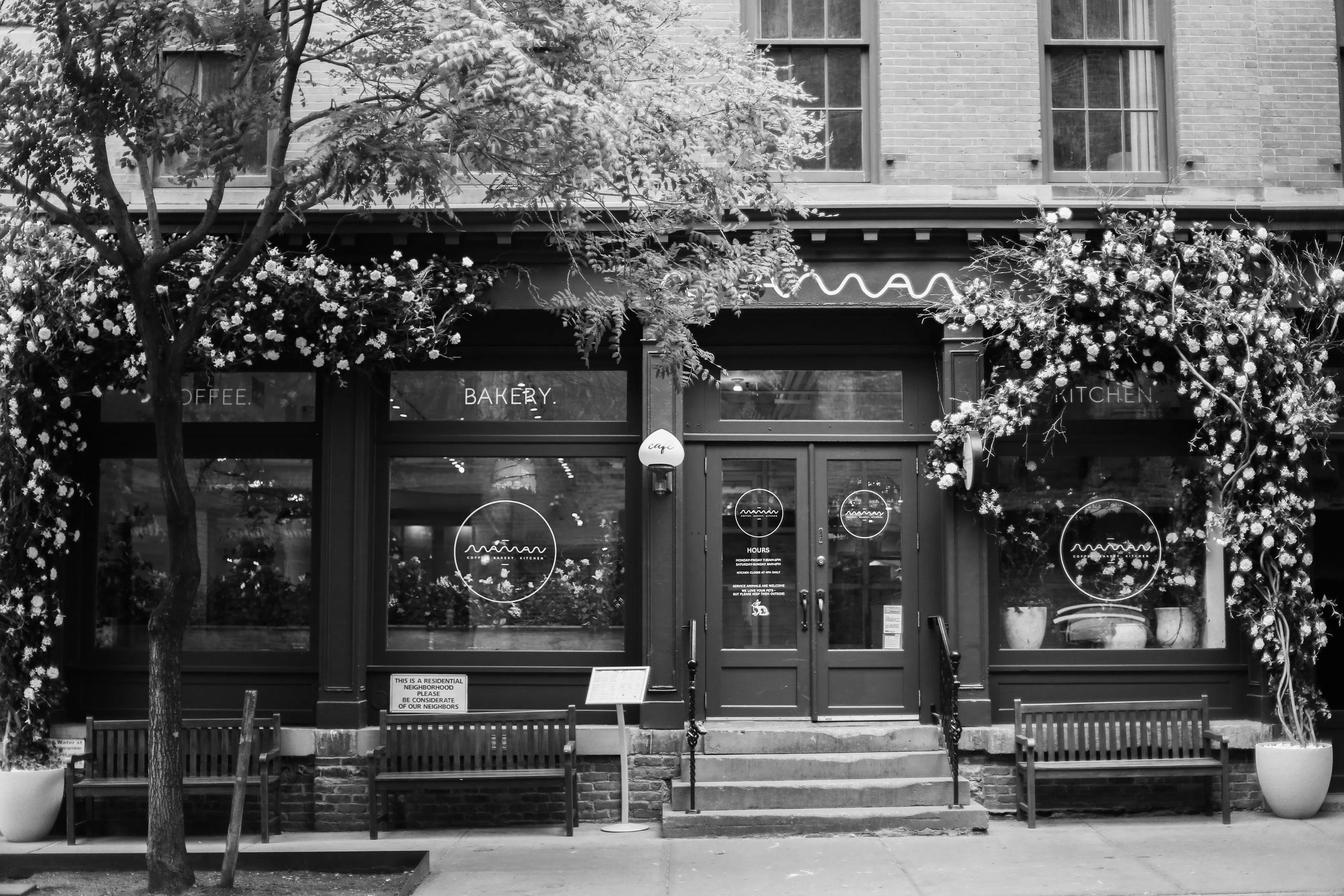 maman dumbo exterior