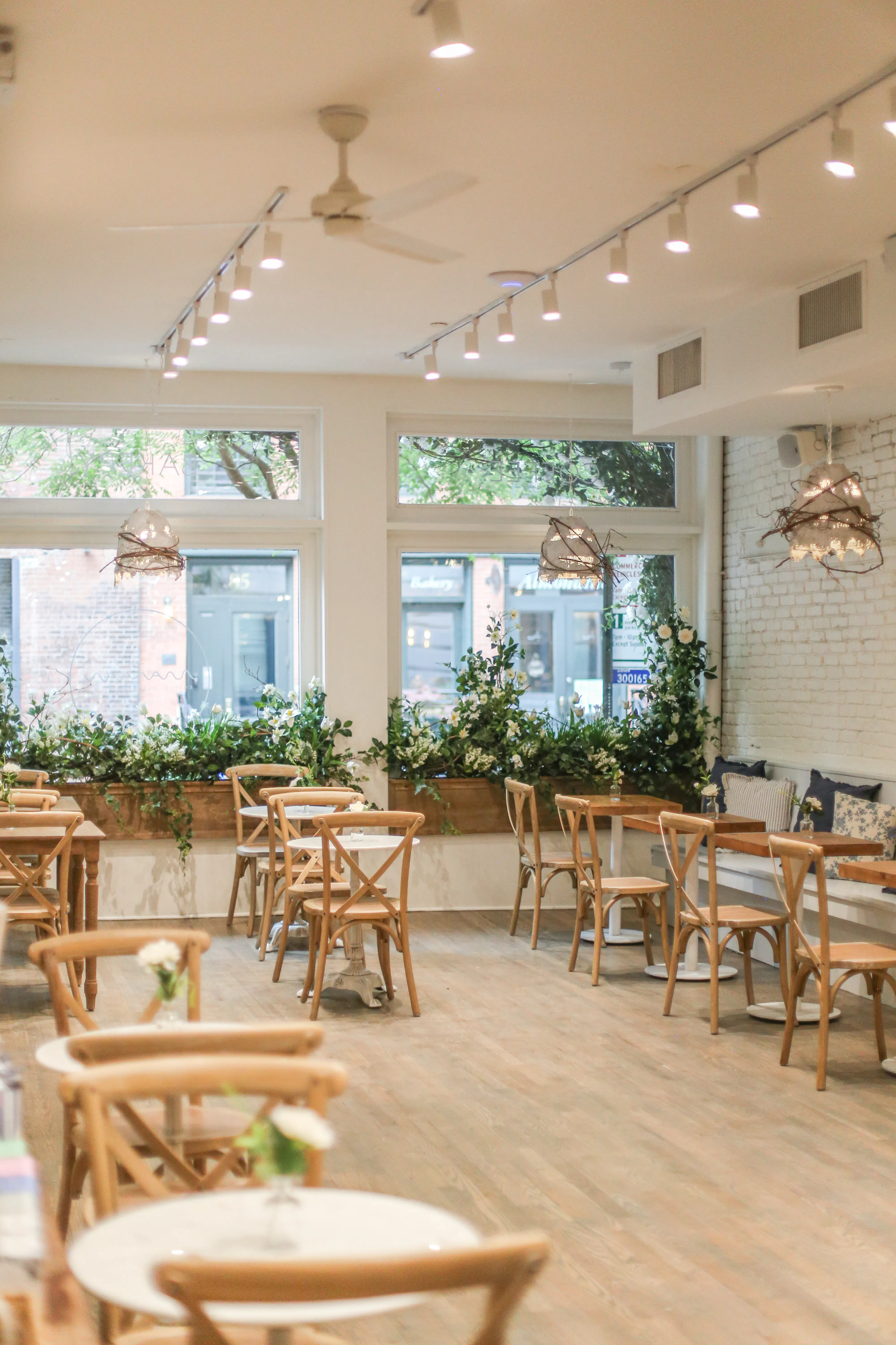 dumbo interior