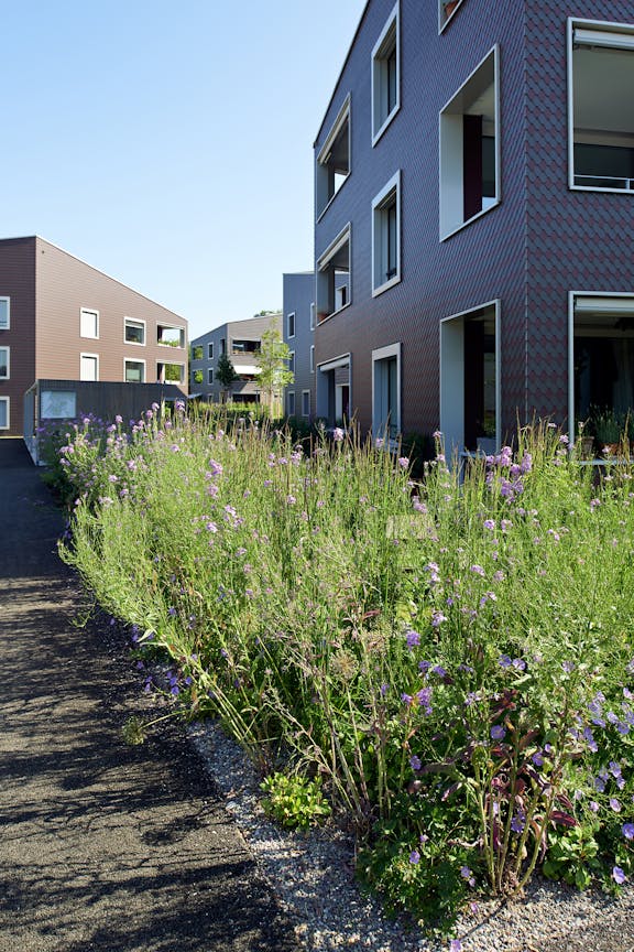 Wohnüberbauung Widenbüel,
Mönchaltorf
