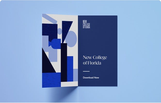 New College of Florida Case Study