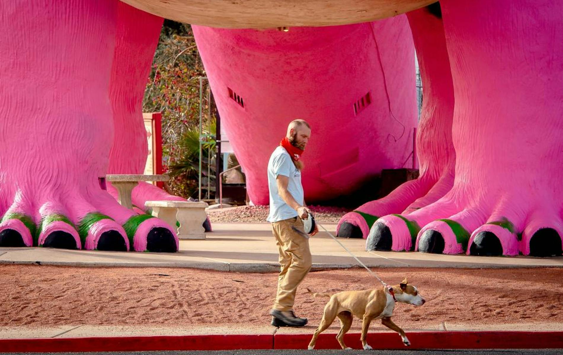 Man walking dog under dog sculpture