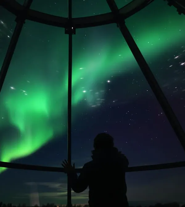 Une personne regarde une aurore boréale de nuit