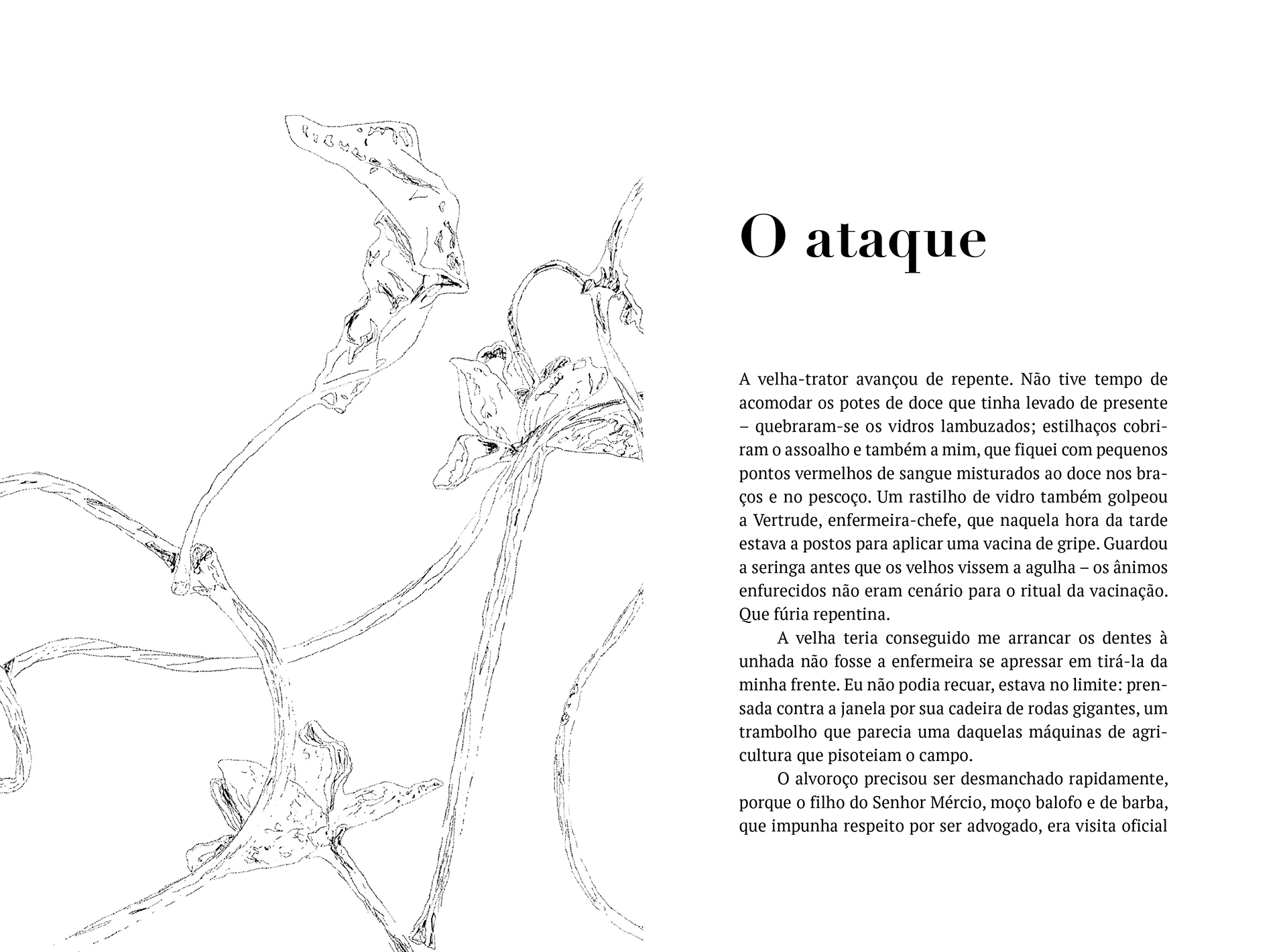 Maralto | JASMINS