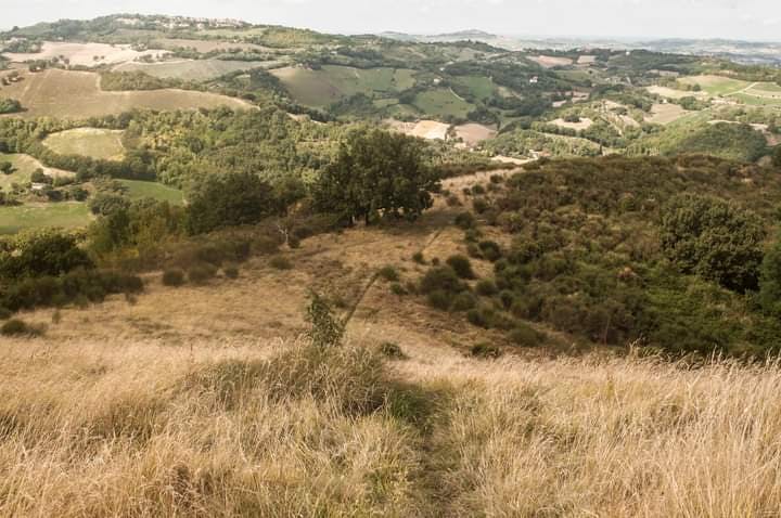 Grande anello di Monteciccardo