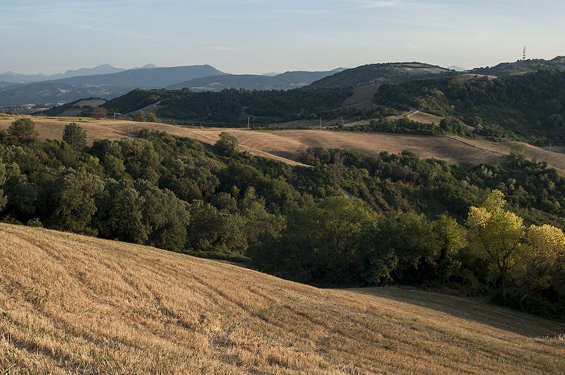 Campagne roventi