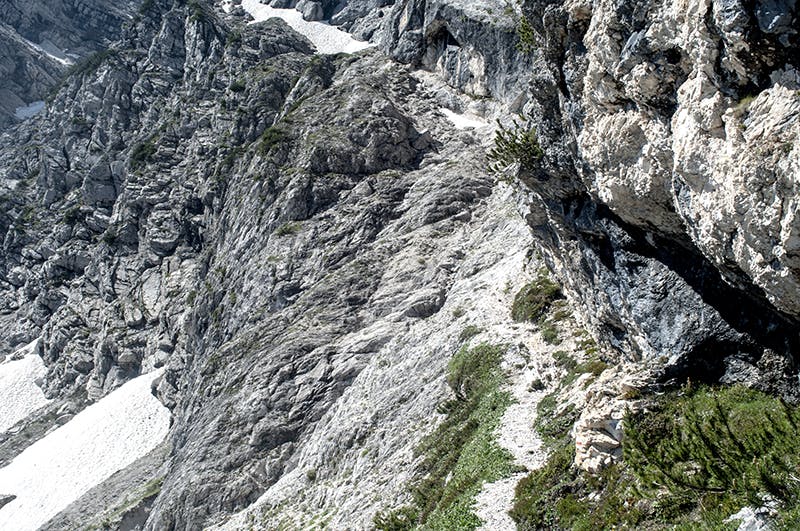 Fortezze