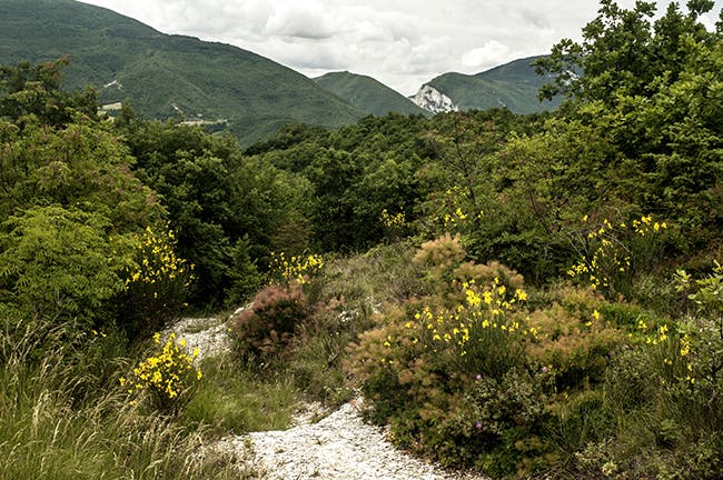 Sopralluogo a Montalto Tarugo