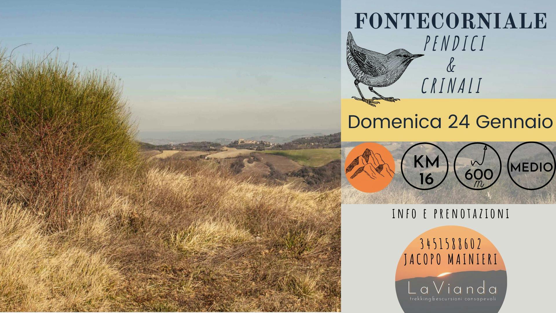 Fontecorniale: pendici e crinali (PU)
