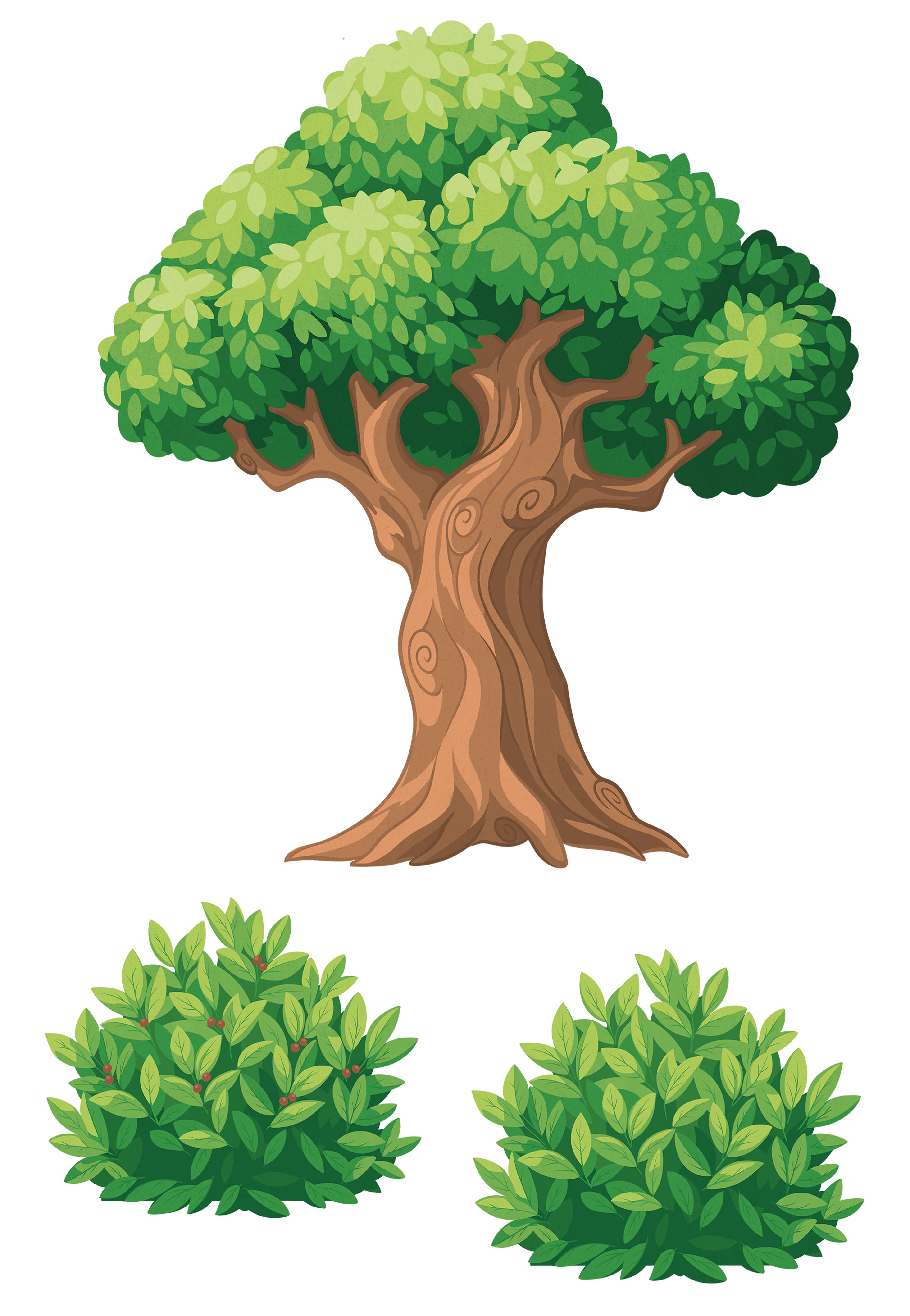 Illustrations of a tree and two different bushes