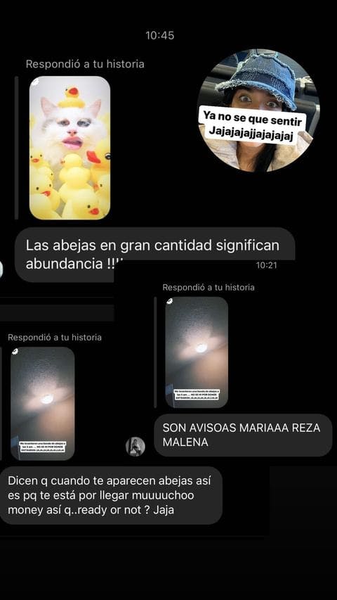 Maria Becerra cuenta lo que vivió con un enjambre de abejas en Los Ángeles. Su valentía y la interpretación de sus fans te sorprenderán. ¡Lee más aquí!
