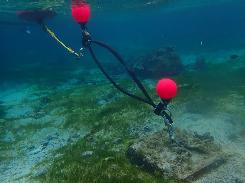 Marine Flex ® Elastic Moorings Screw Anchors Aquaculture Floats