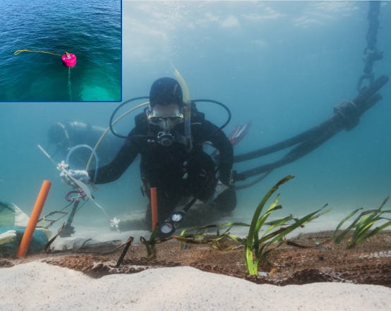 Eco-friendly Mooring installed at Shoal Bay – NSW/AUS as part of the Seagrass restoration program
