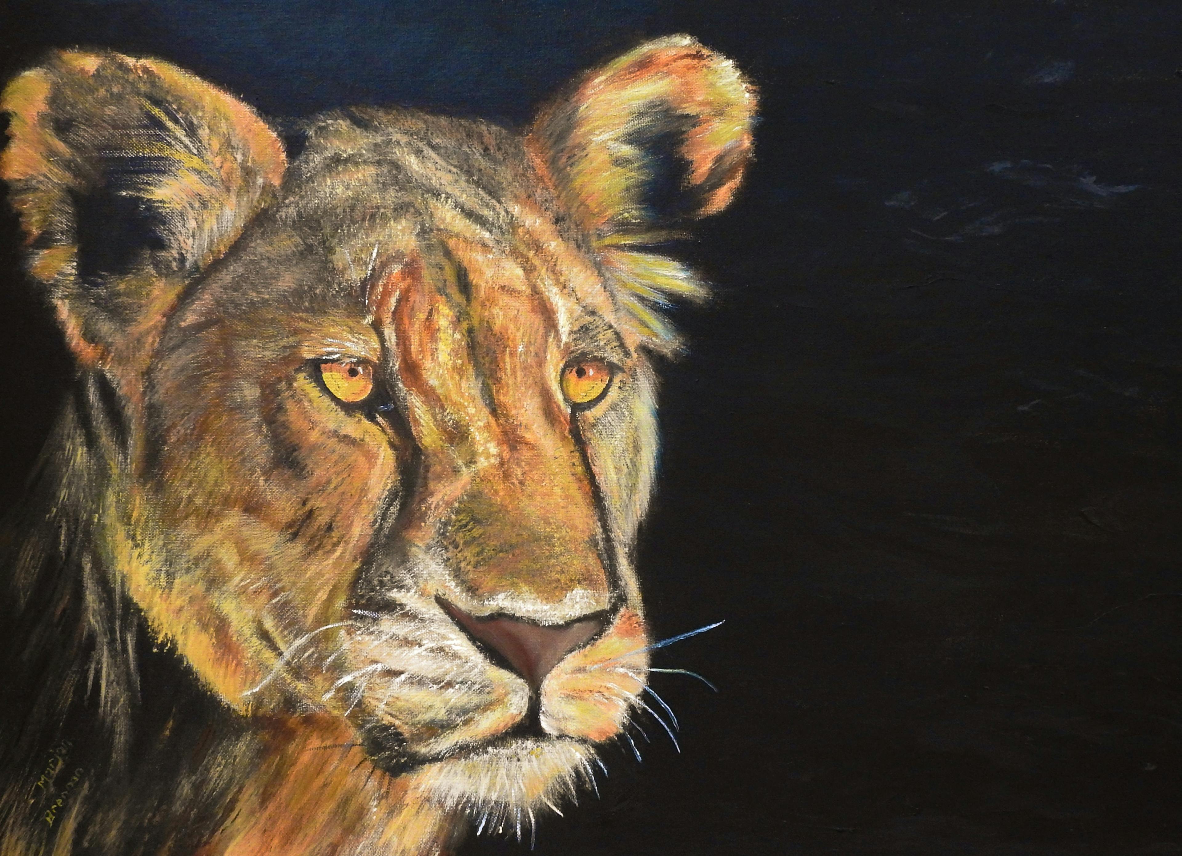 Lioness Oil Painting