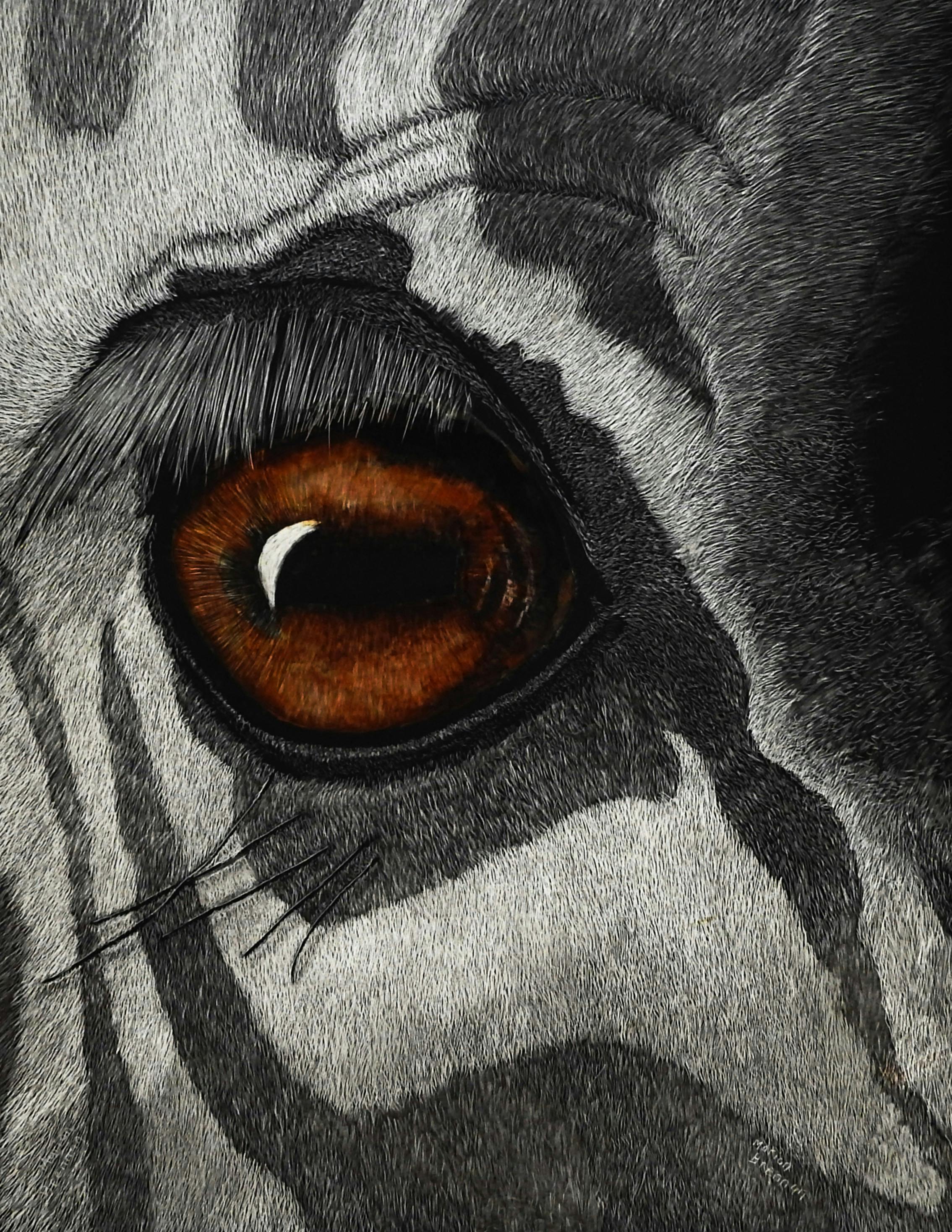 Zebra Soul Scratchboard