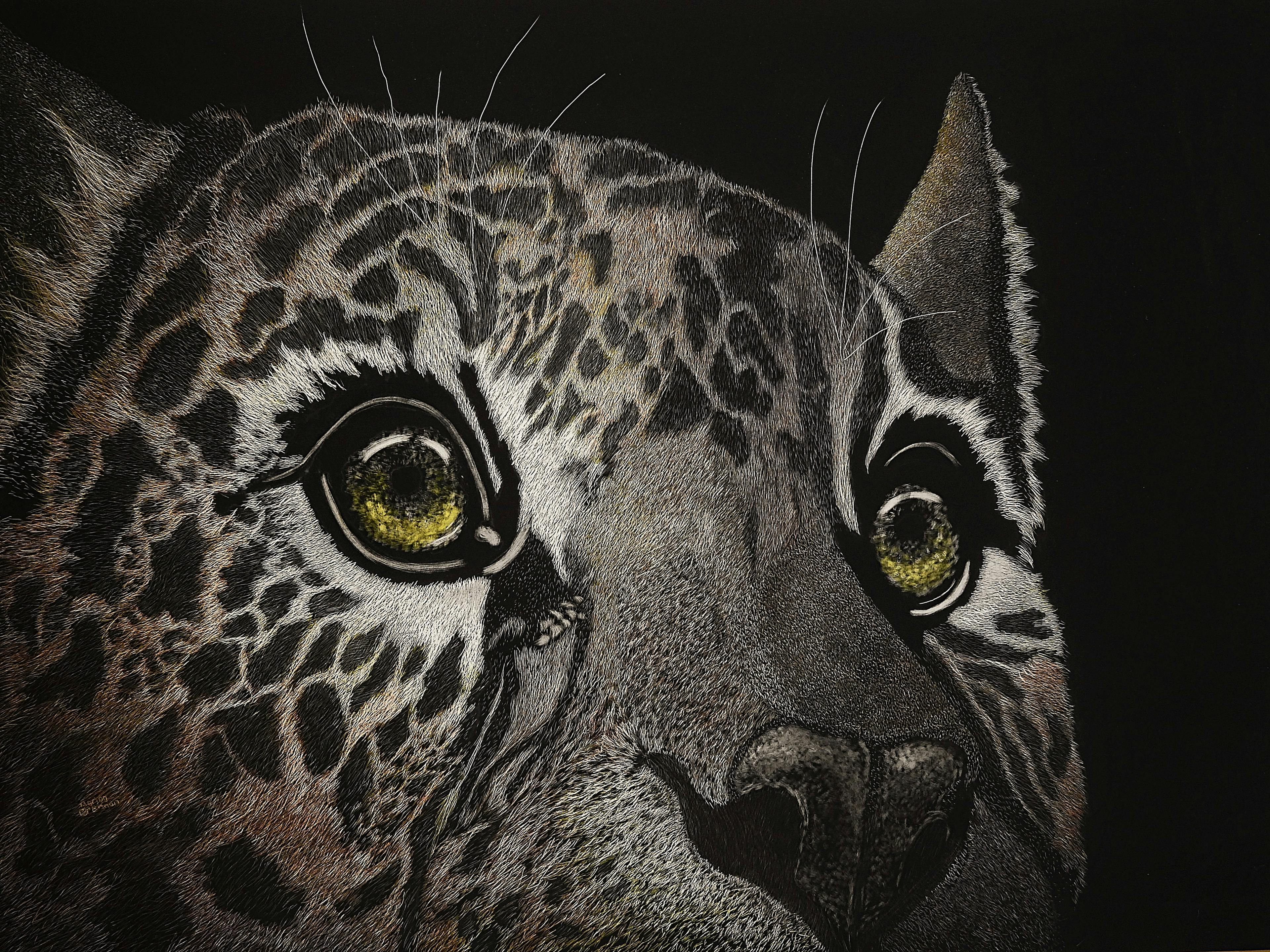 Jaguar (Commission) Scratchboard