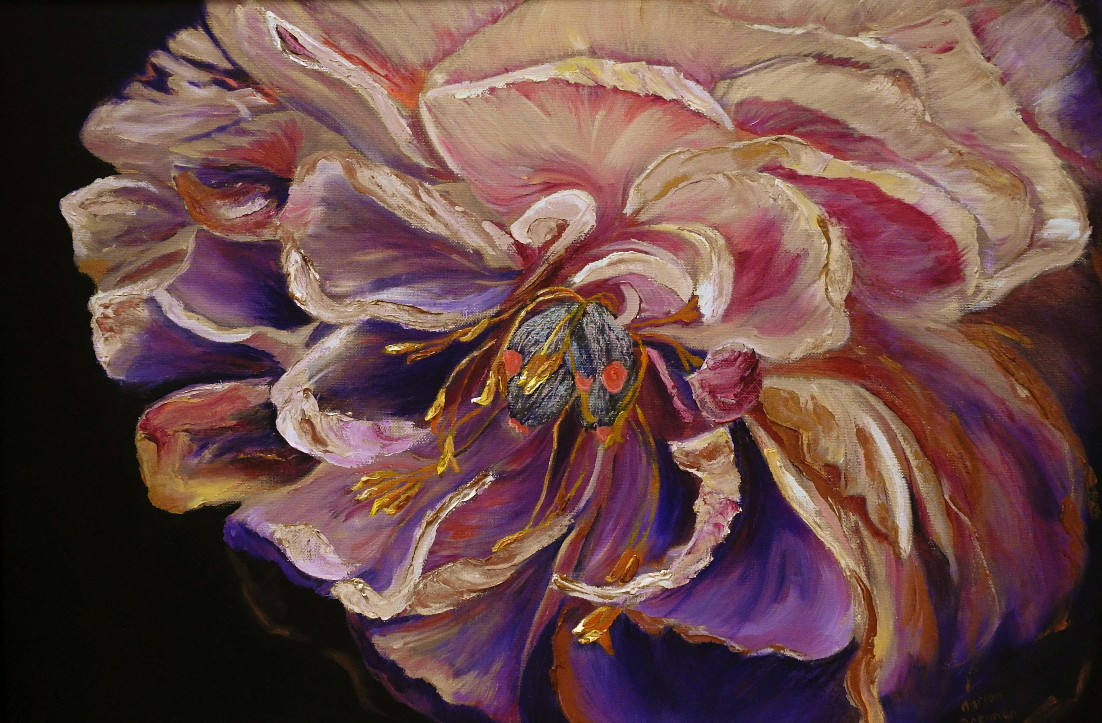 Peony Oil Painting