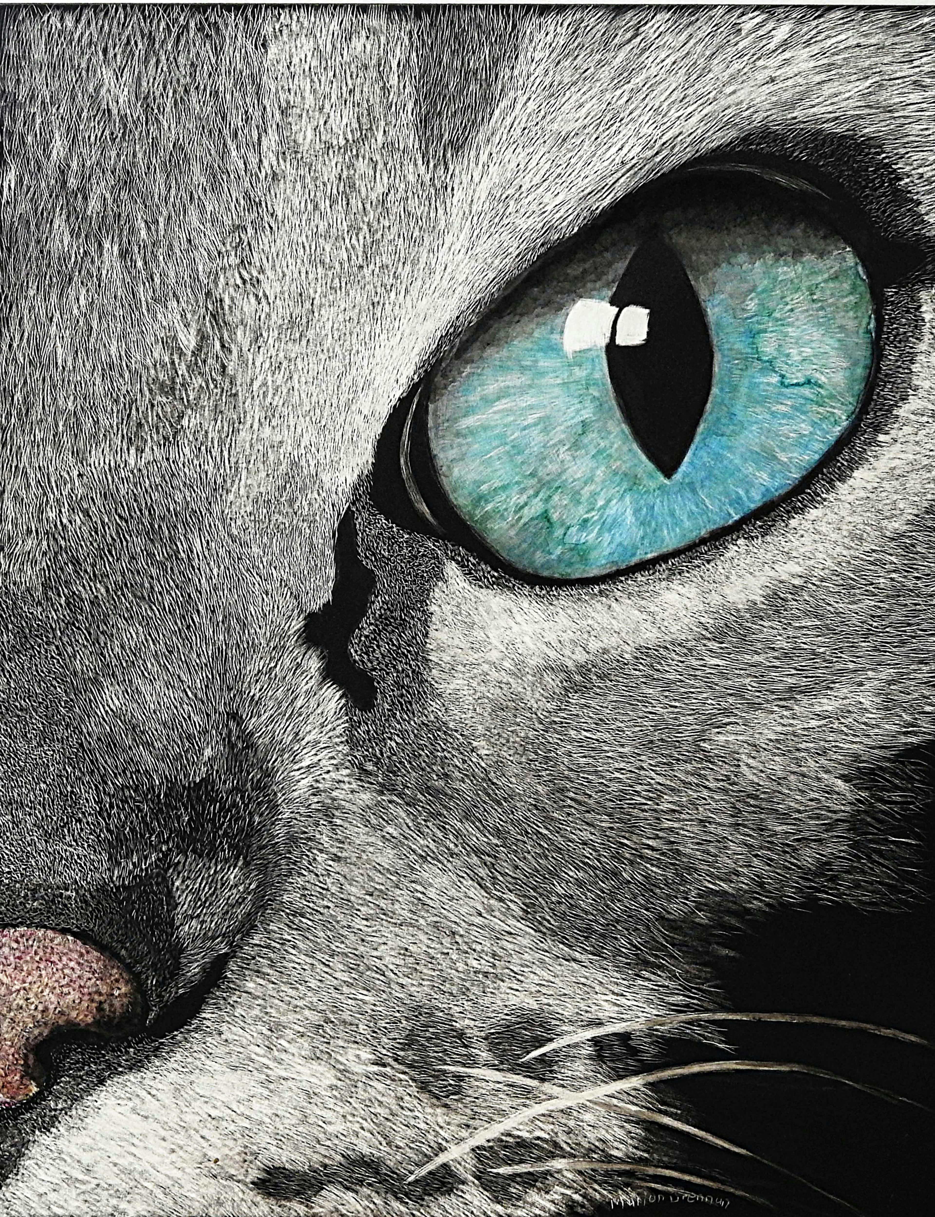 Cat Soul