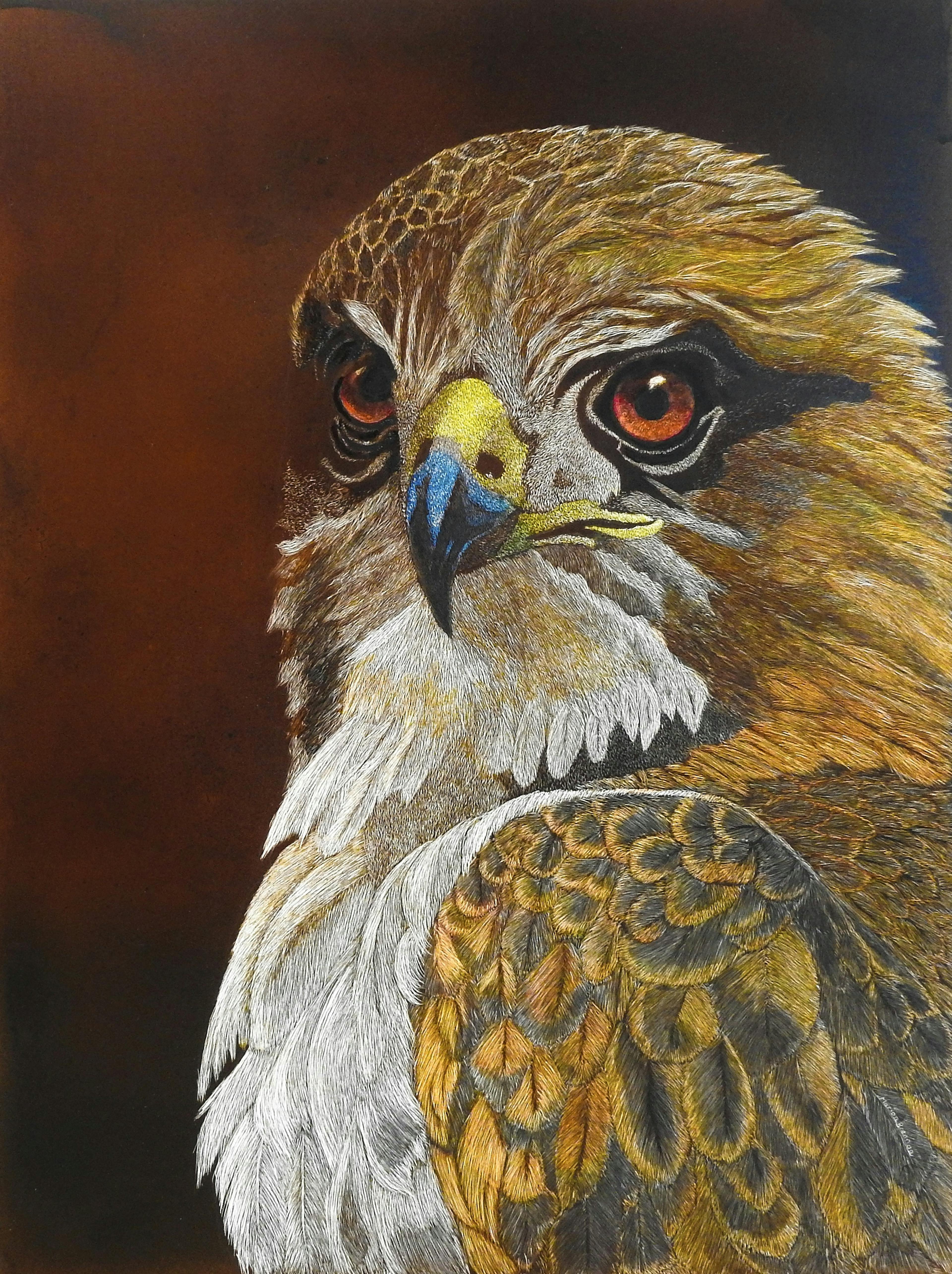 Falcon on airbrushed clay board