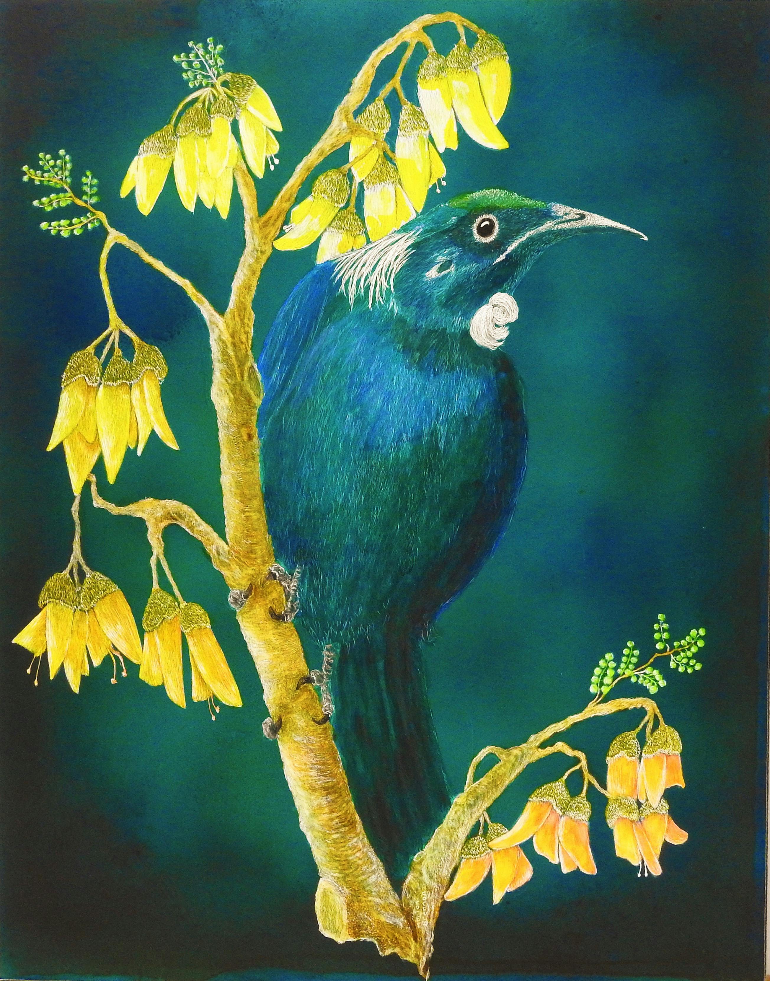 Tui on scratch board