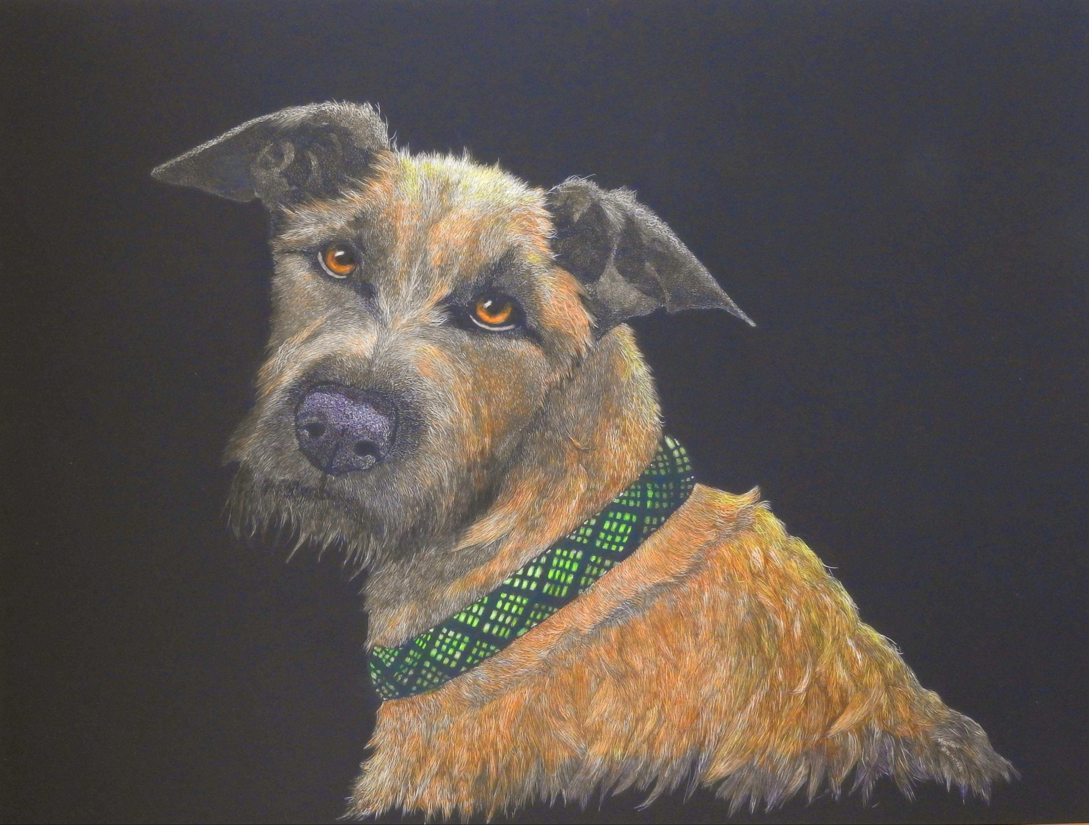 Quigley scratchboard and coloured ink