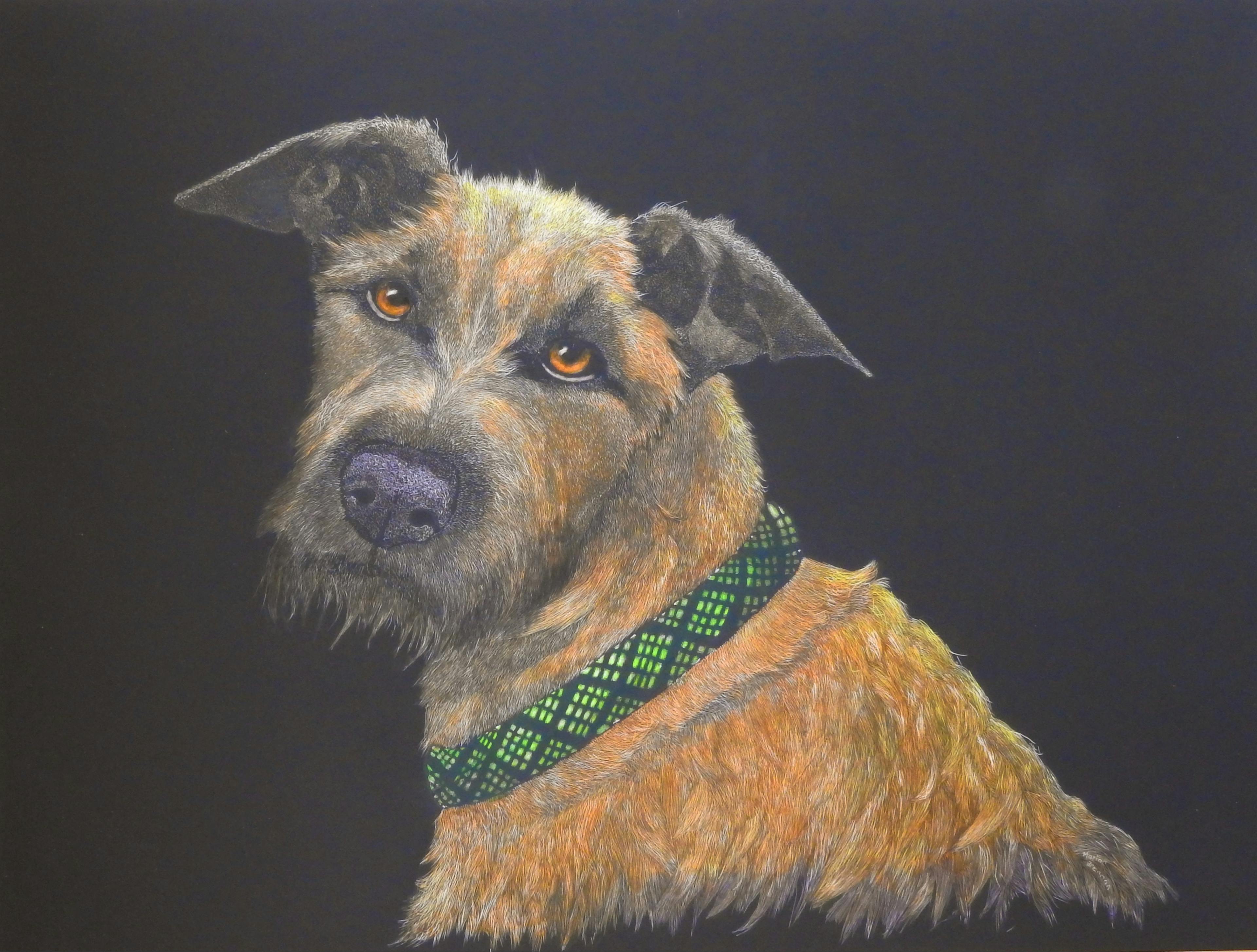 Quigley scratchboard and coloured ink