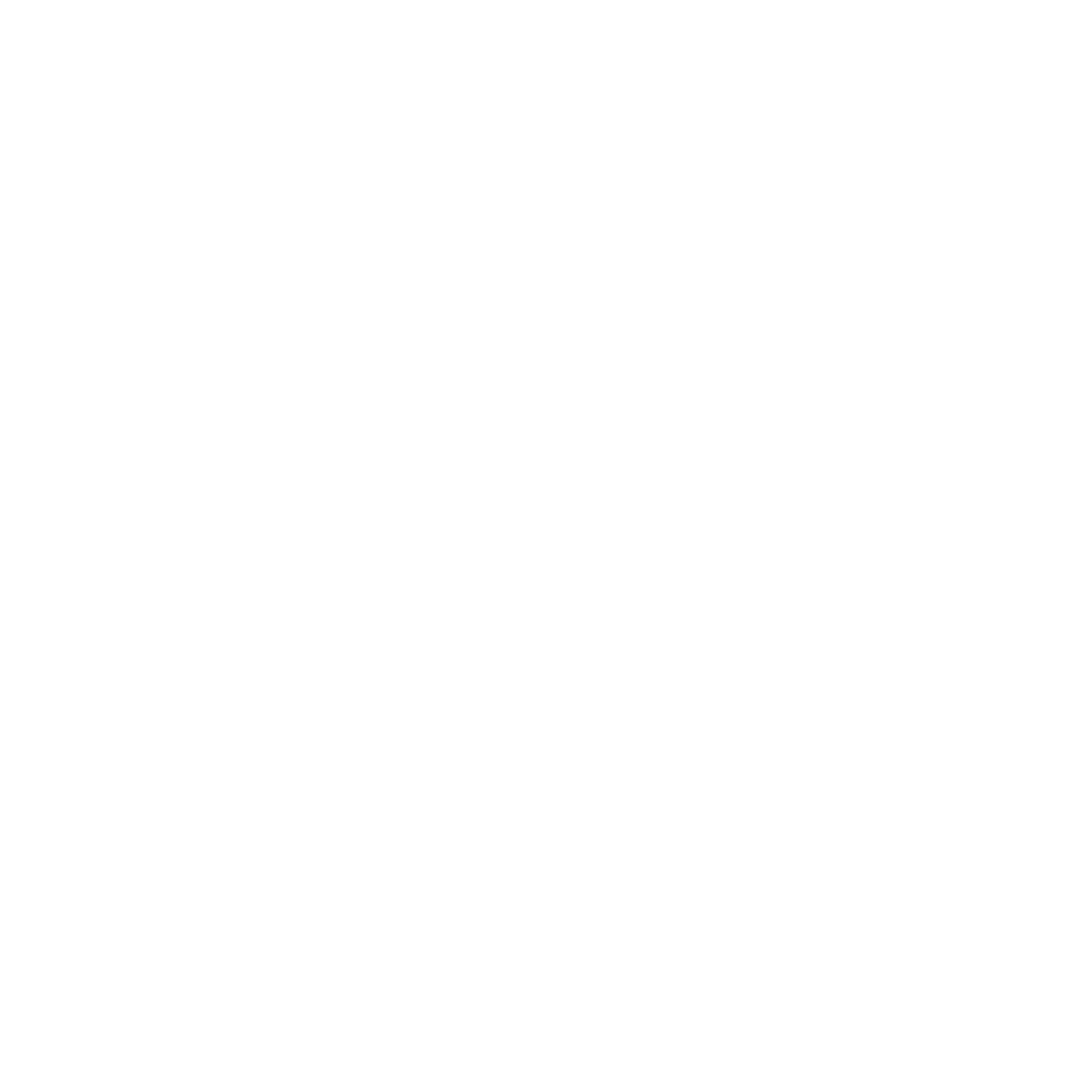 Social icon