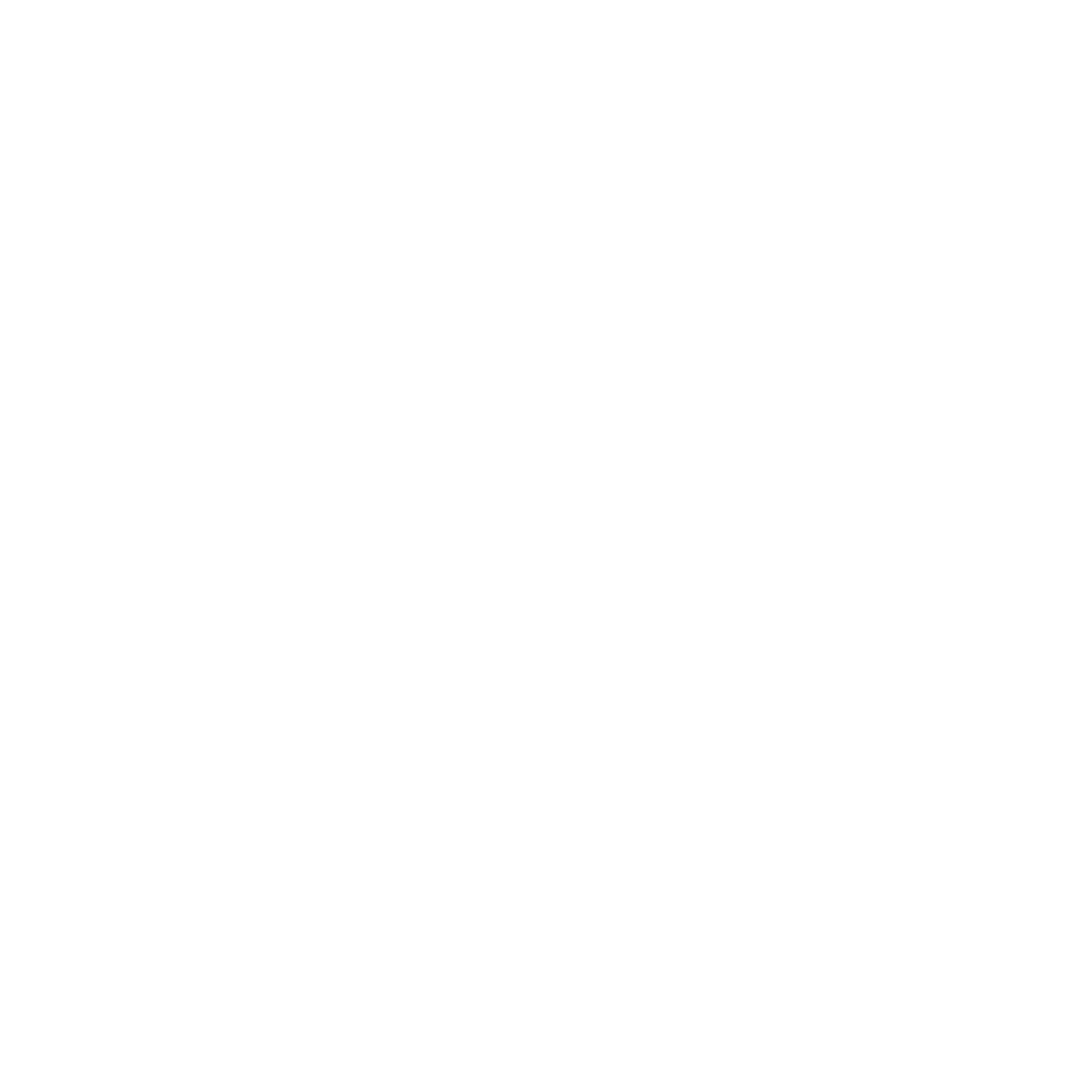Social icon