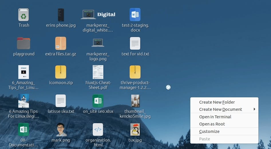 nemo desktop icons