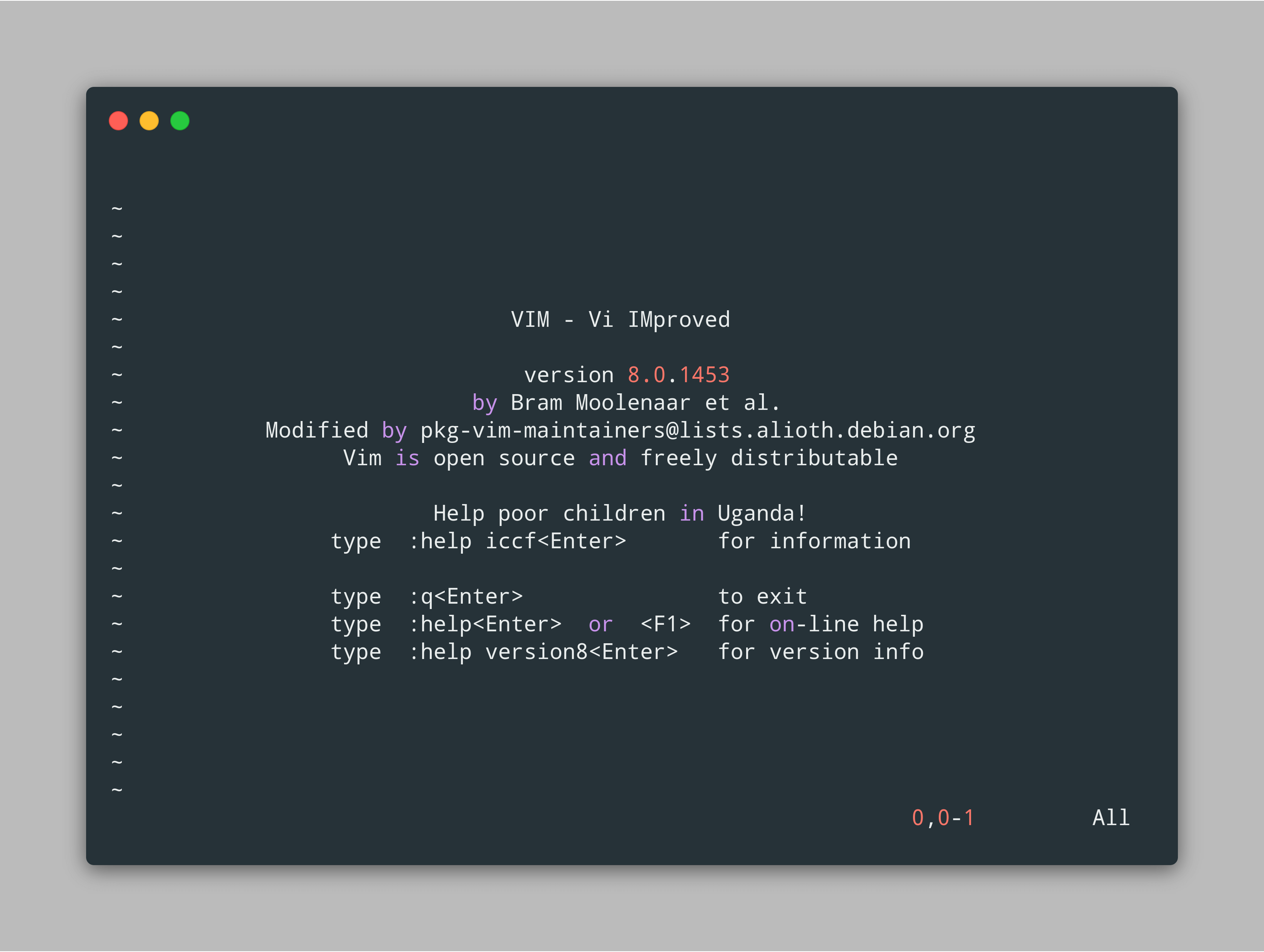 vim main screen