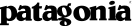 Patagonia logo