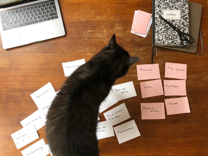 A video of a cat walking over around 20 cards that contain labels referring to information we needed to place on the website.