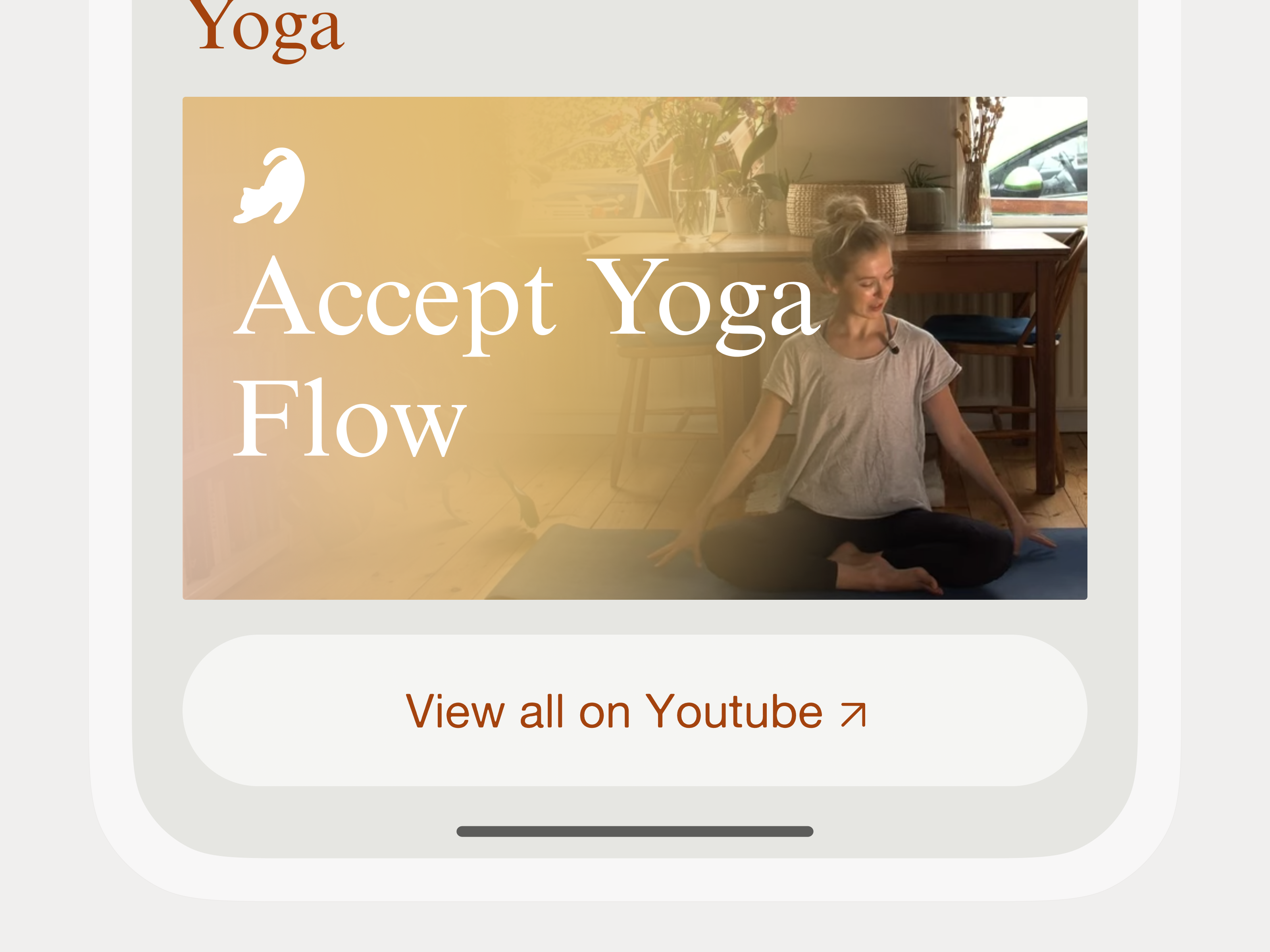 A crop of the bottom of a mobile screen. The crop is showing a video thumbnail and a button with the label 'View all on Youtube'.