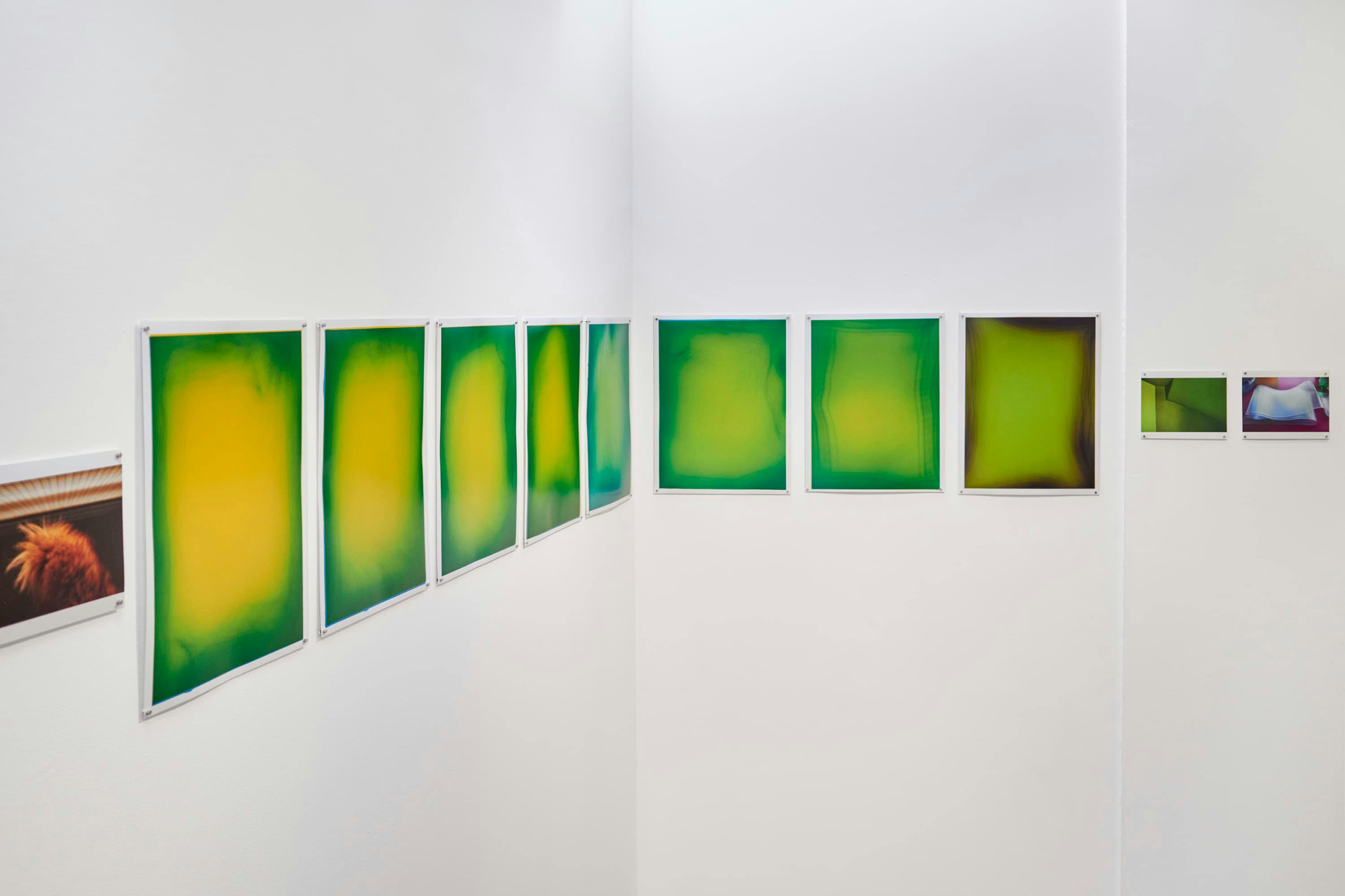 Marton Perlaki, exhibition view Tokyo, Japan