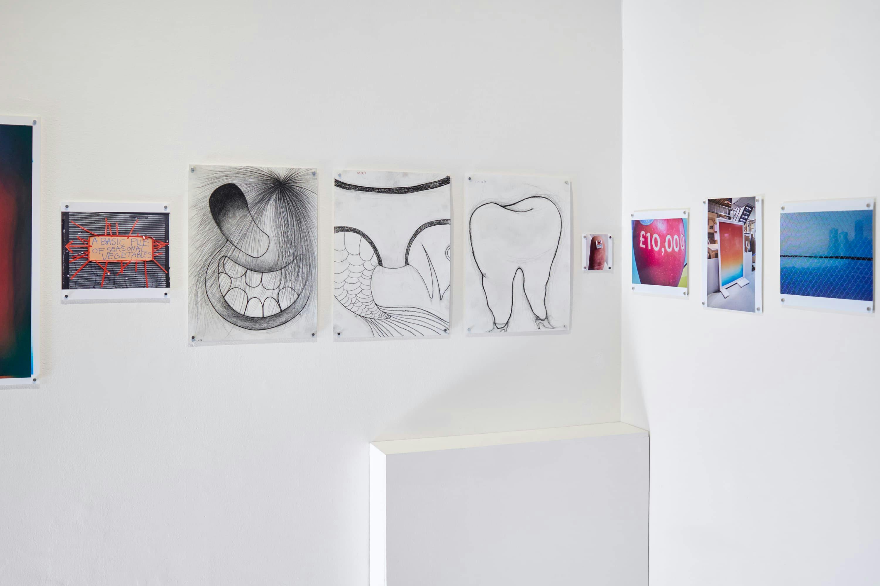 Marton Perlaki, exhibition view Tokyo, Japan