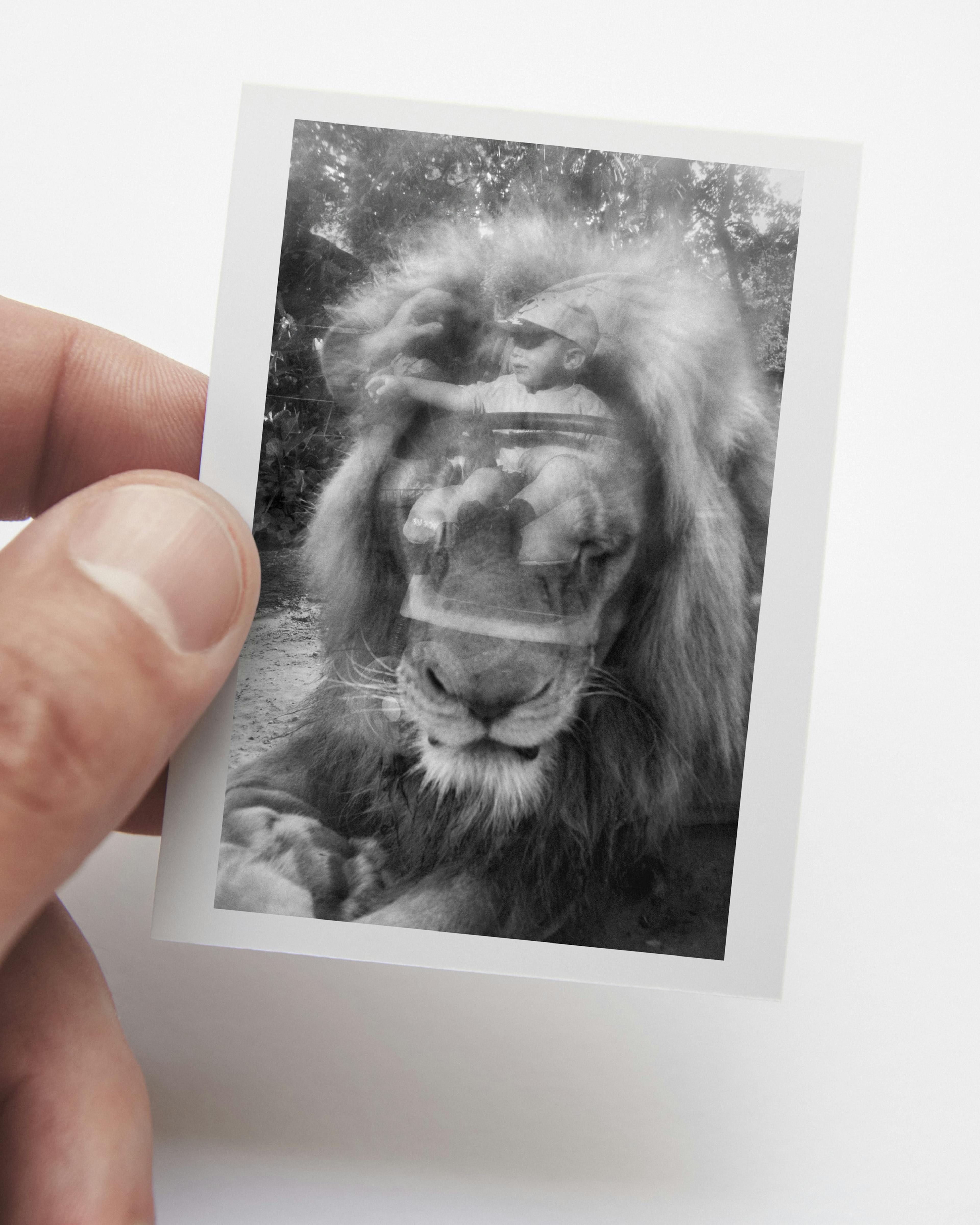 a reflection of a baby in the zoo