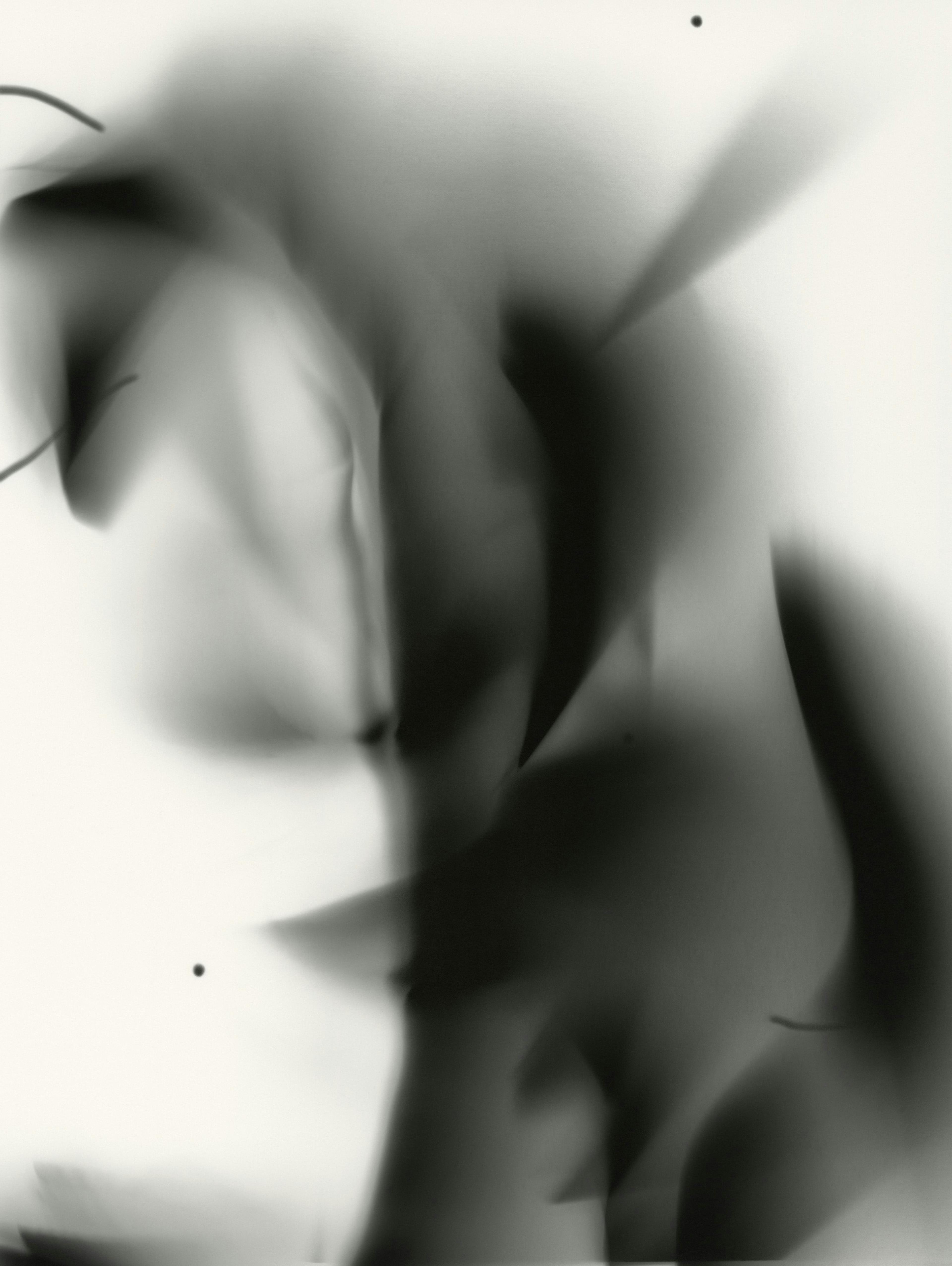 abstract photogram, Marton Perlaki