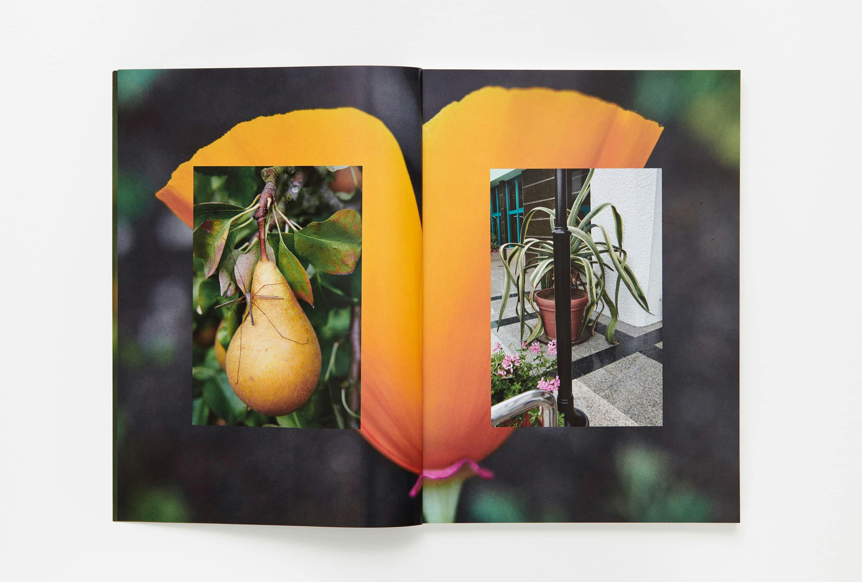Parklife magazine by Marton Perlaki artist