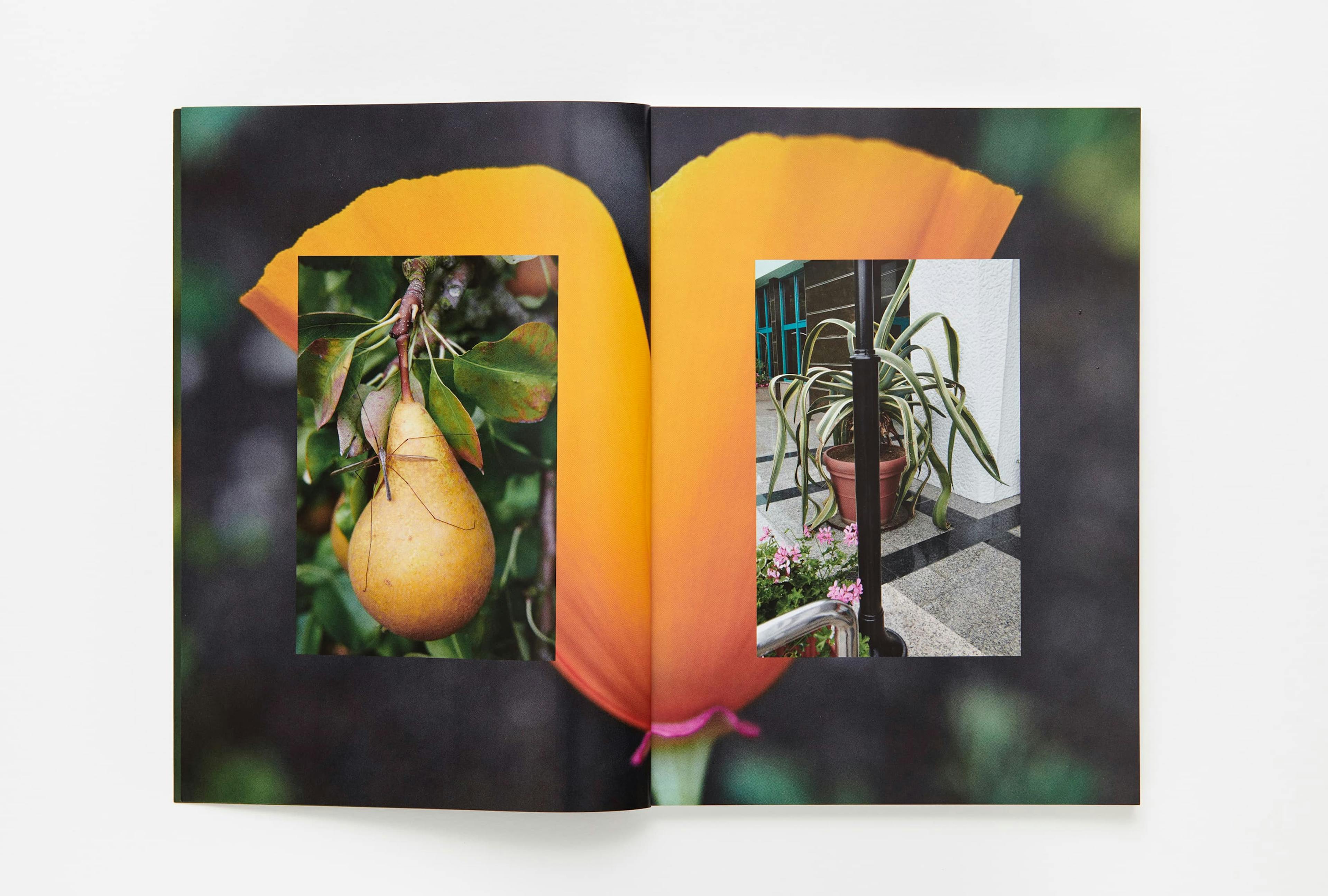 Parklife magazine by Marton Perlaki artist