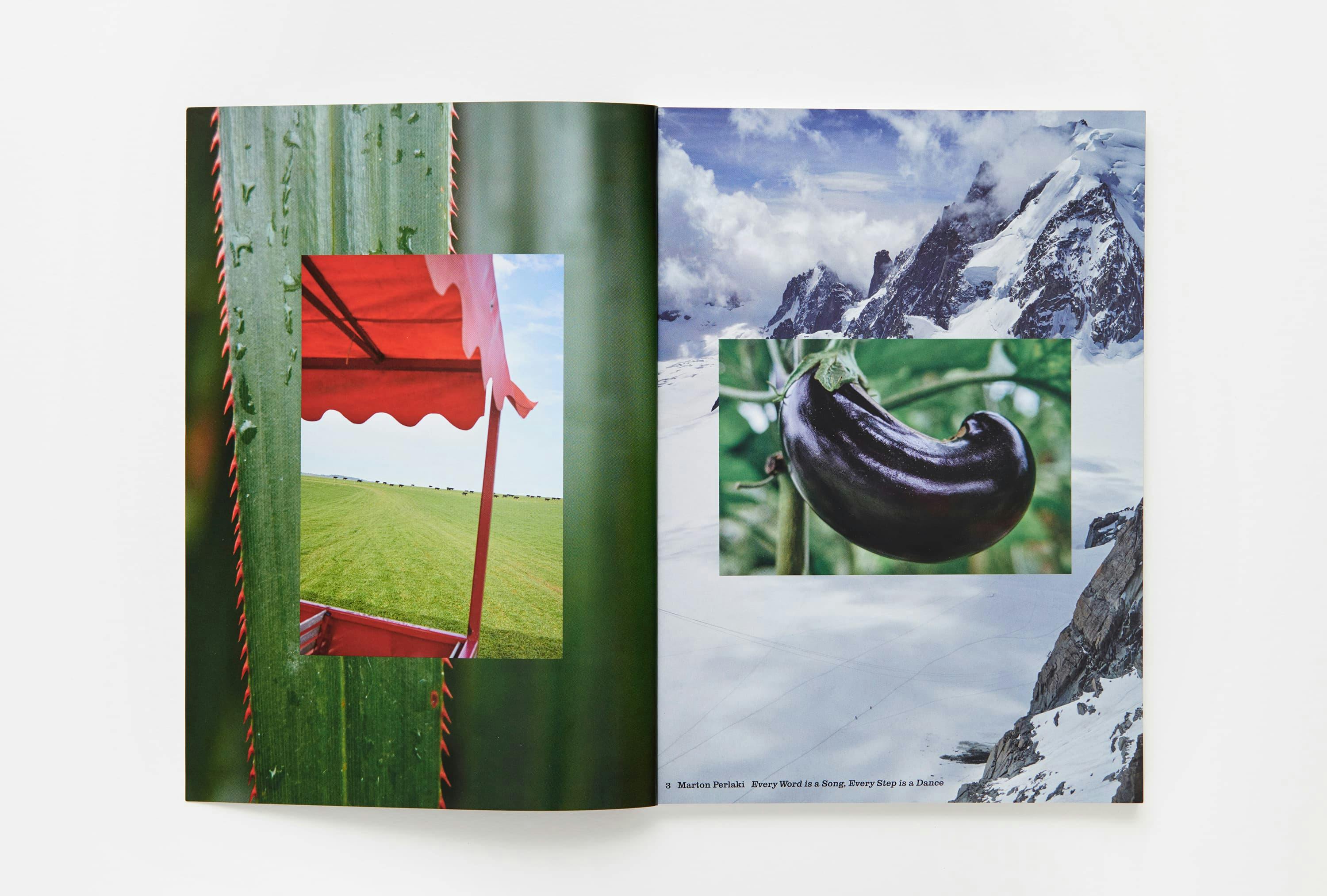 Parklife magazine by Marton Perlaki artist
