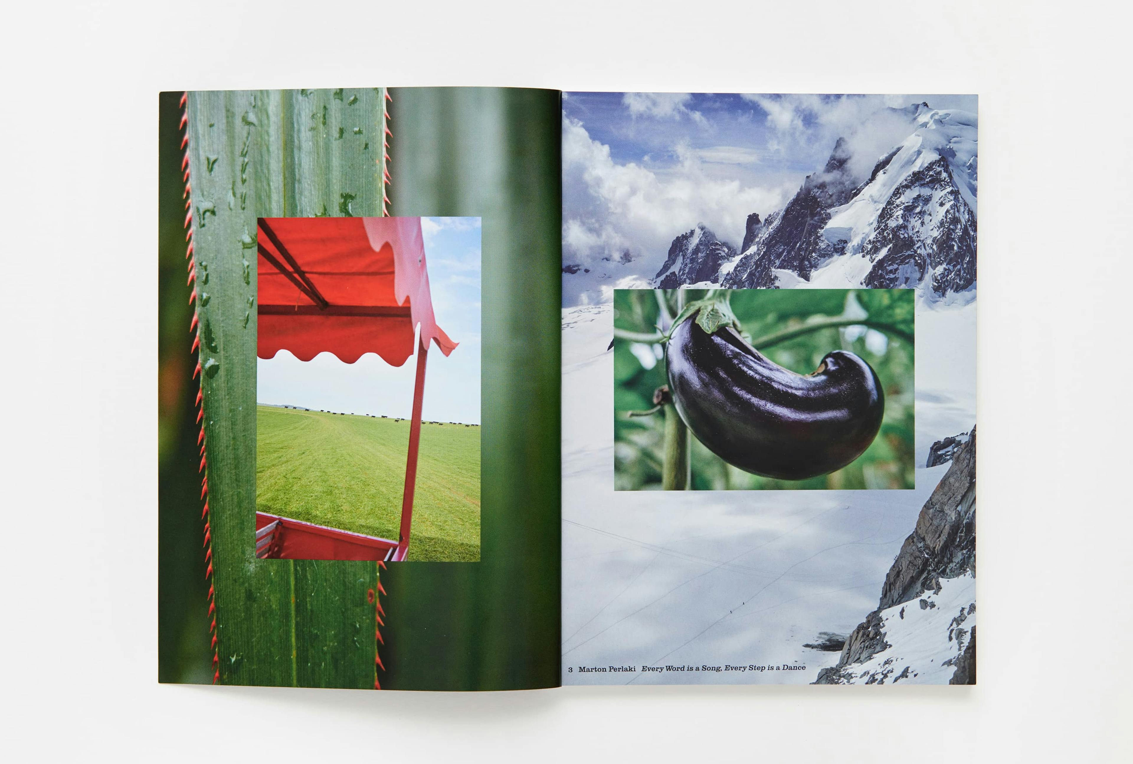 Parklife magazine by Marton Perlaki artist