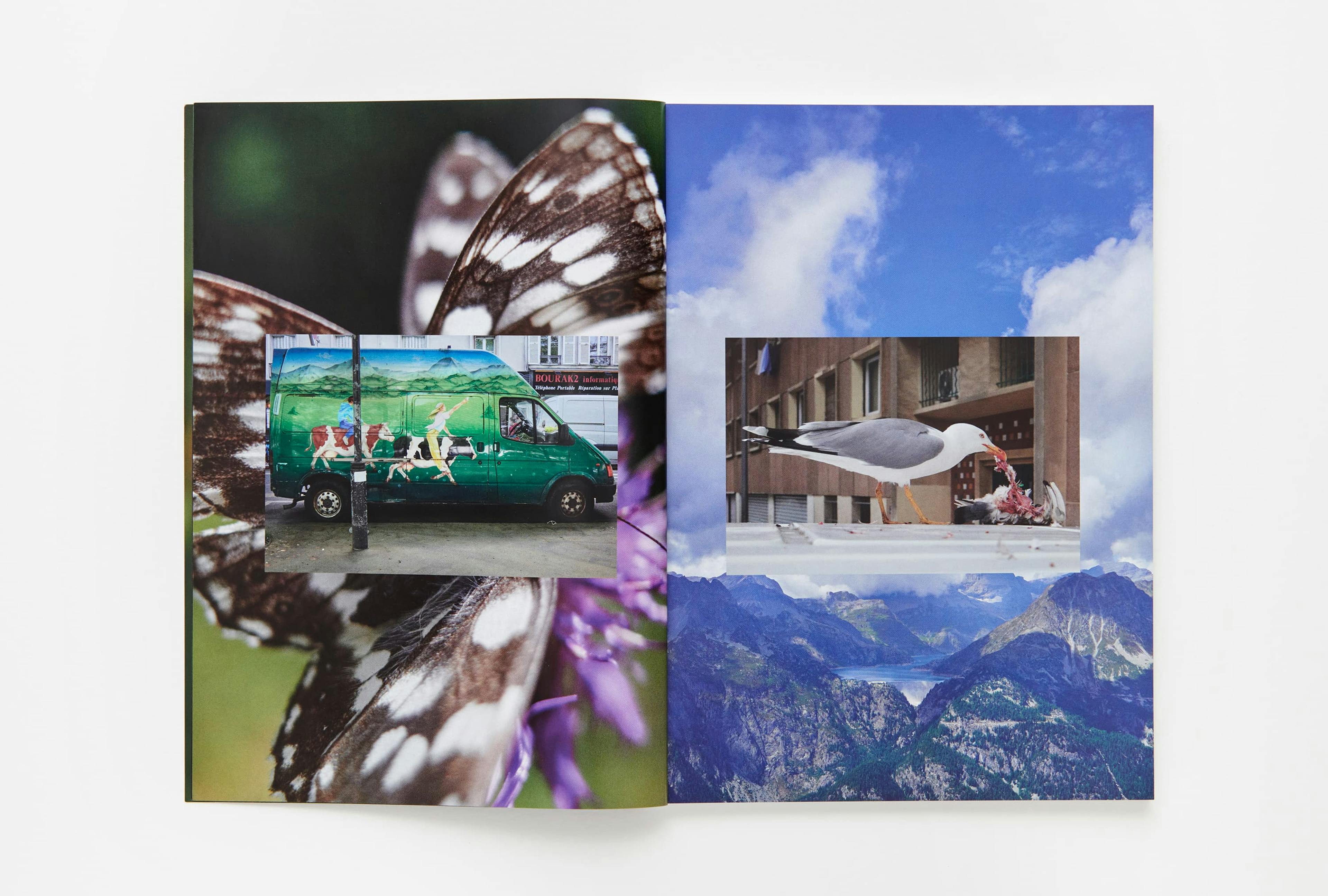 Parklife magazine by Marton Perlaki artist