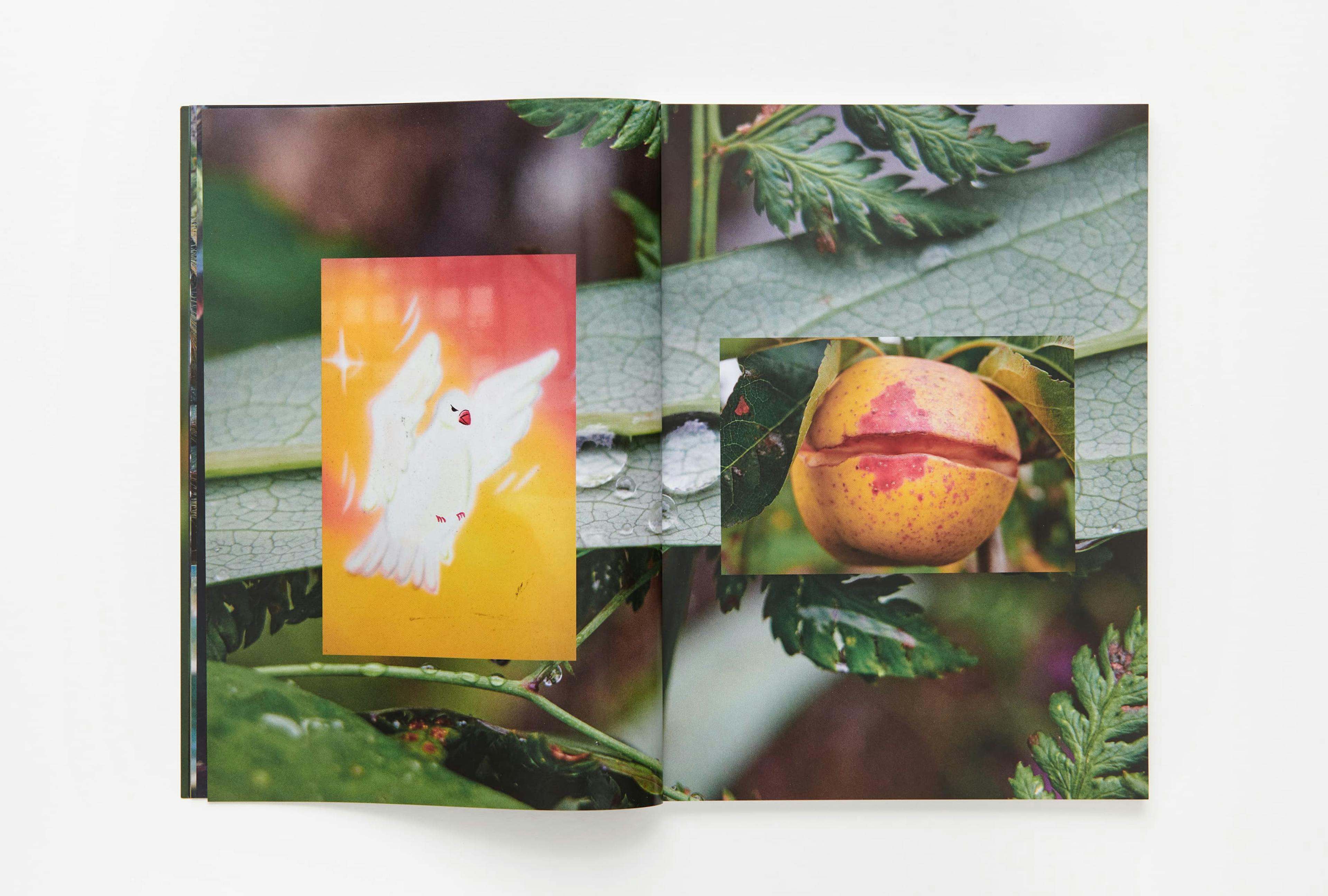 Parklife magazine by Marton Perlaki artist