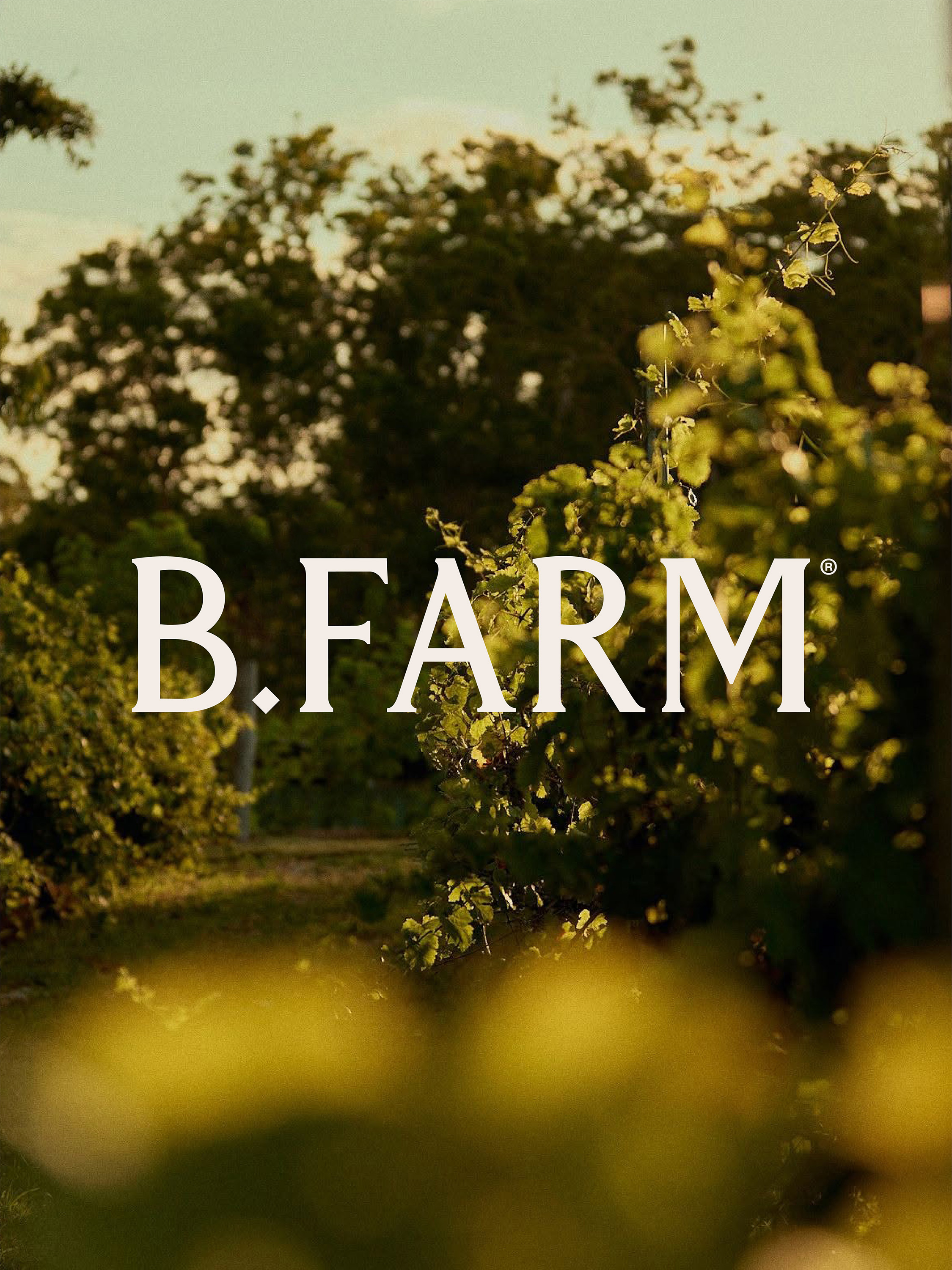 B.Farm – Coming Soon