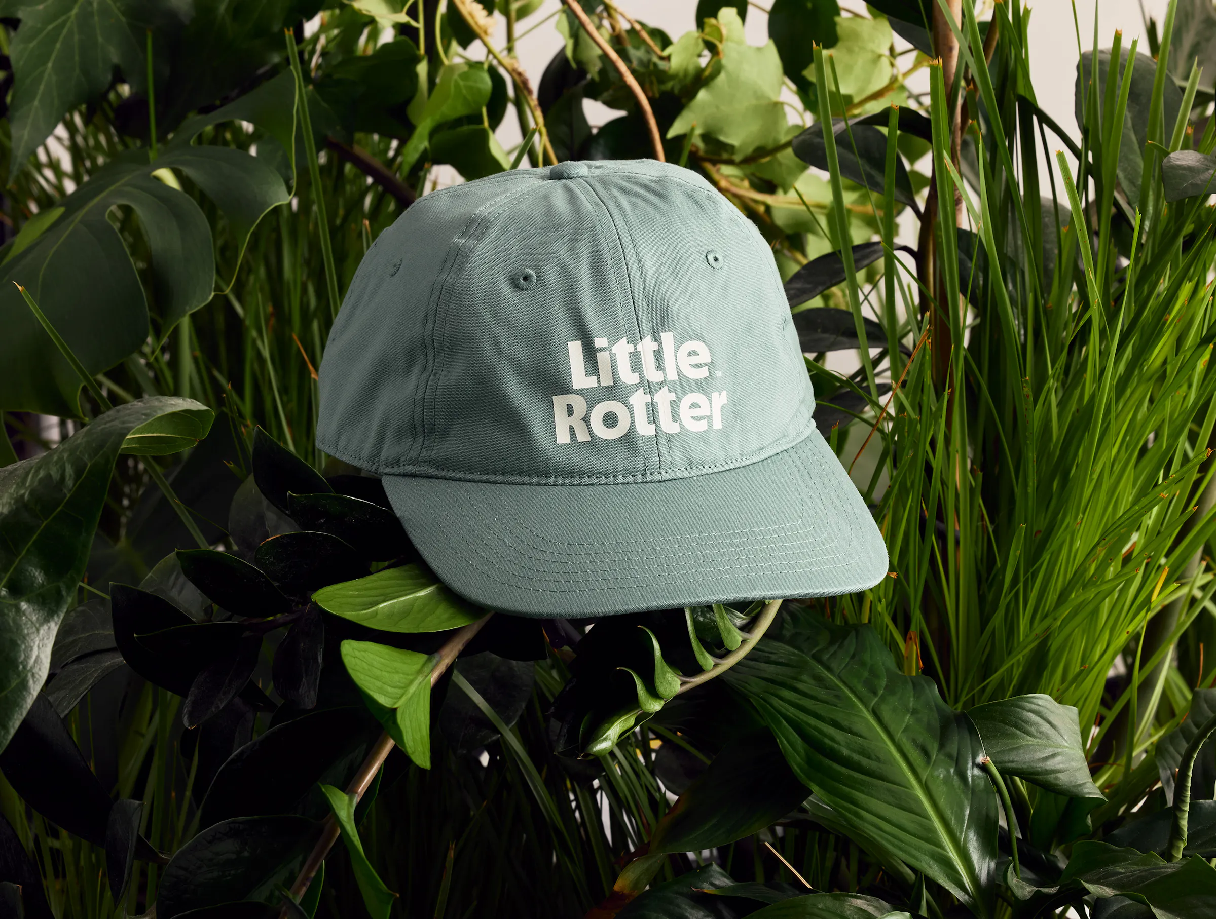 Little Rotter