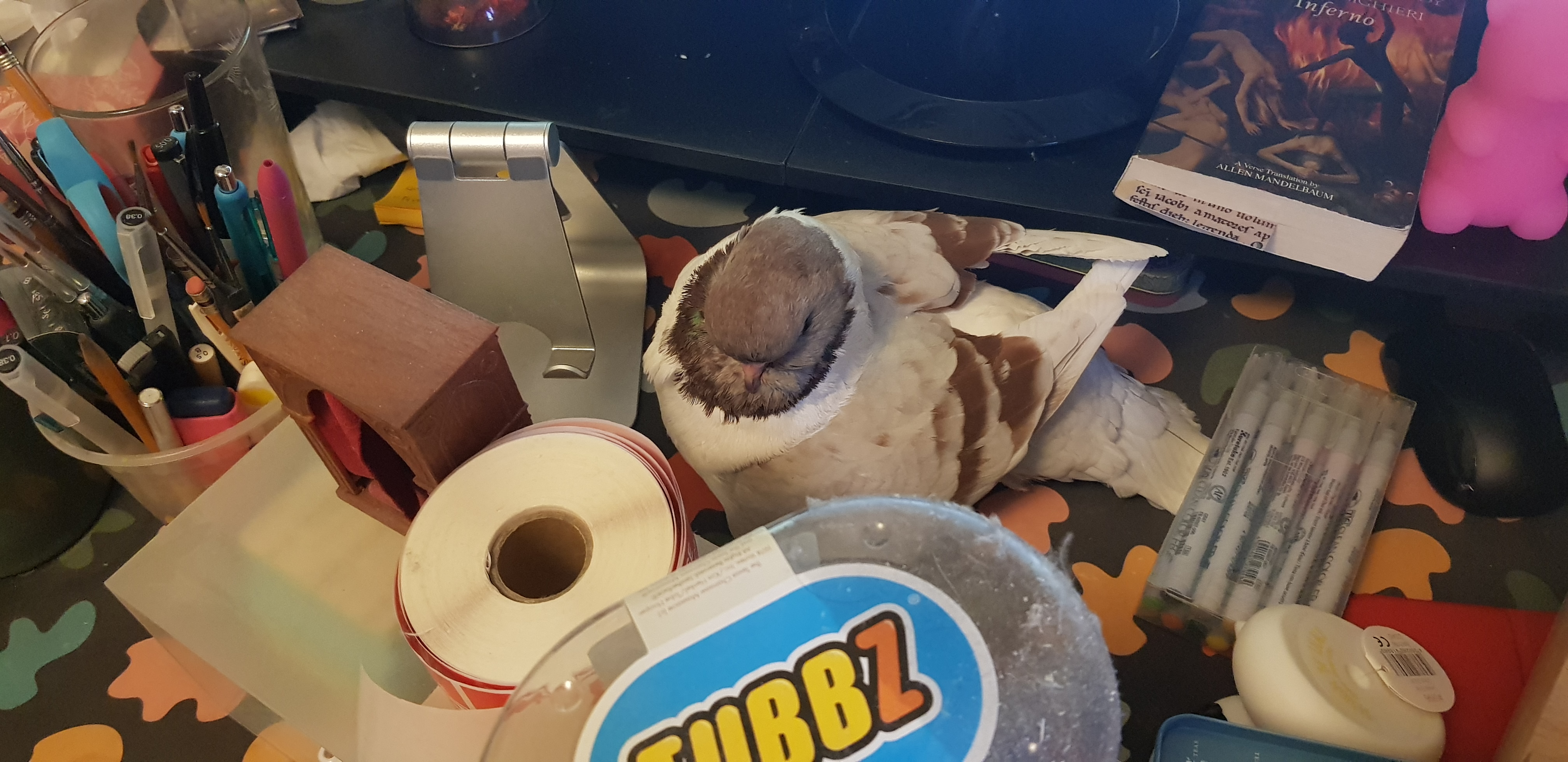 Masha sitting on a very messy desk