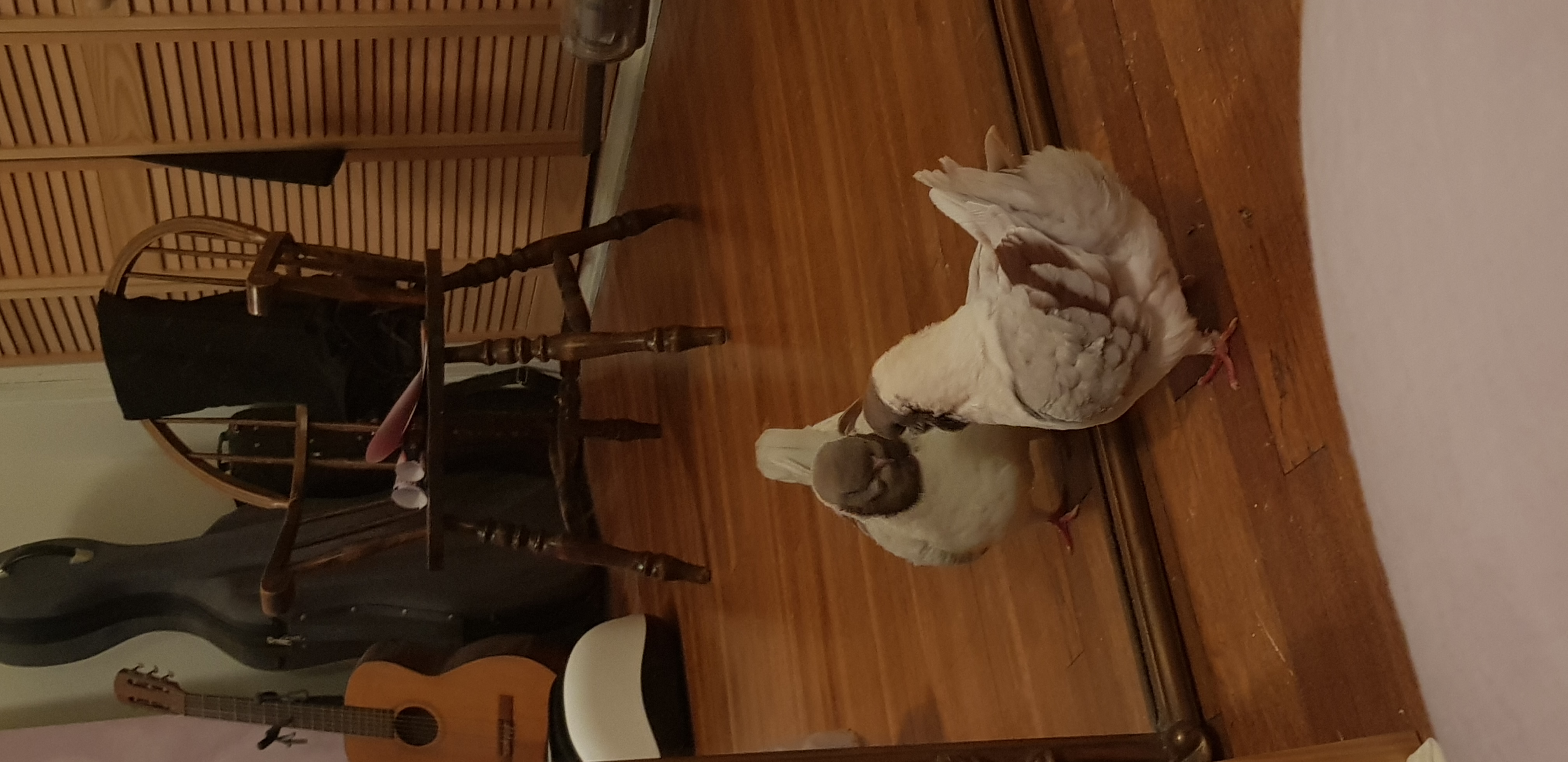 Masha looking at her own reflection in the mirror