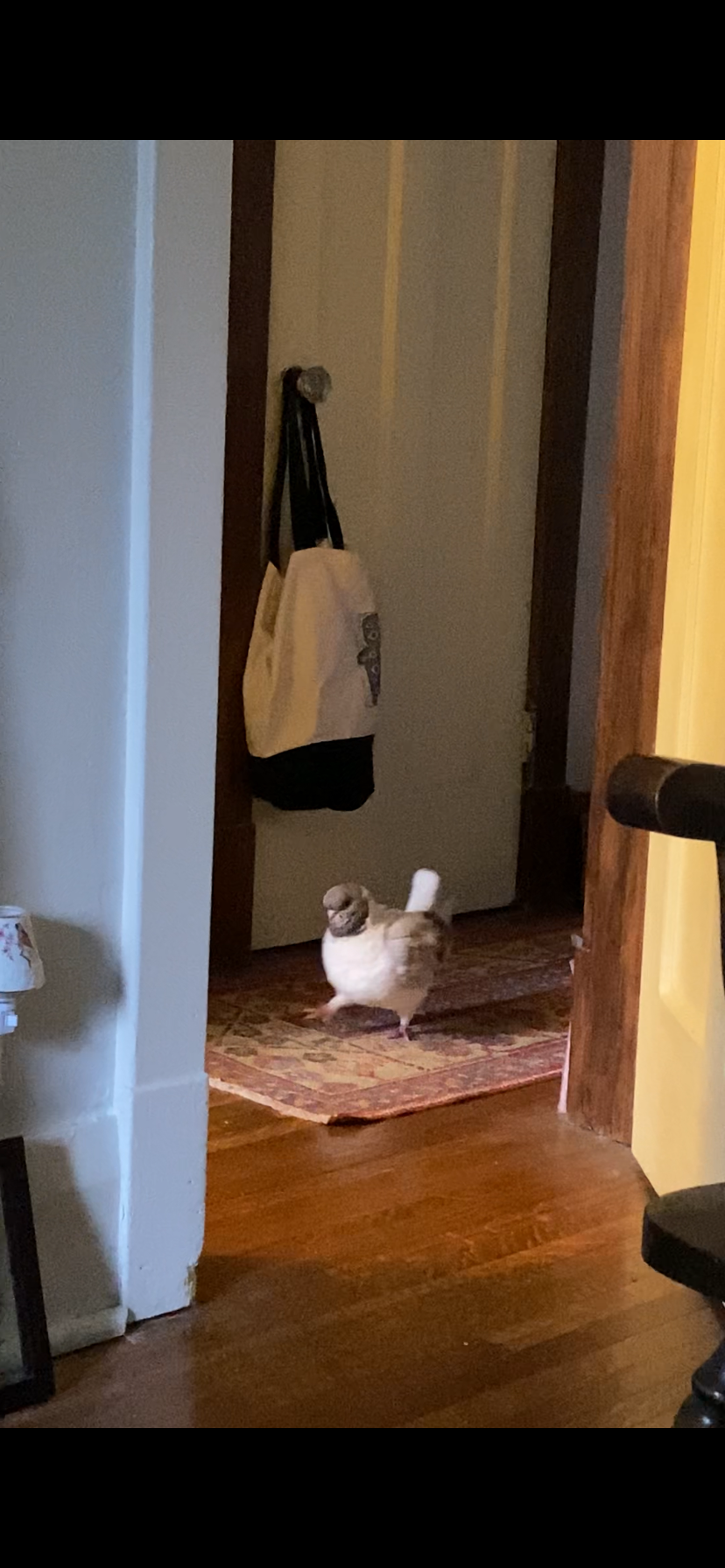 Masha taking a big step forward