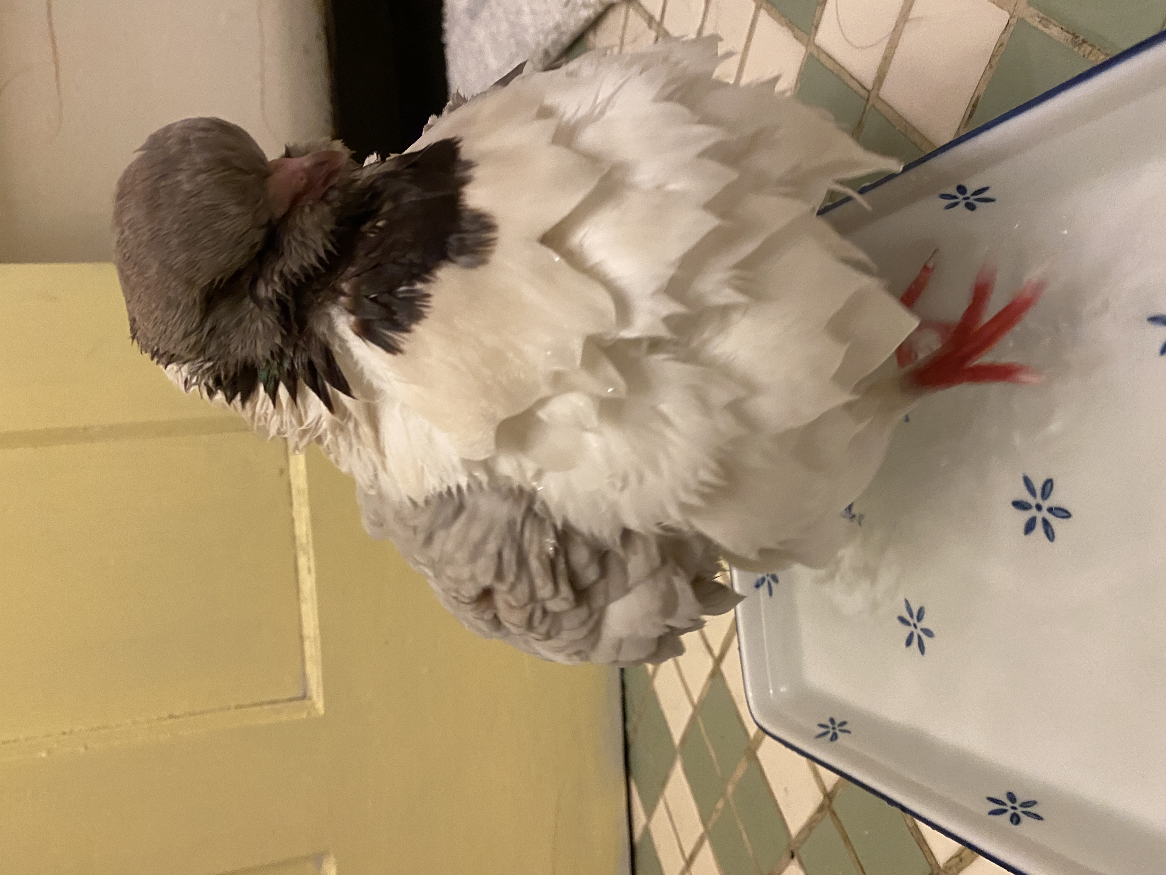 Masha in the middle of a bath