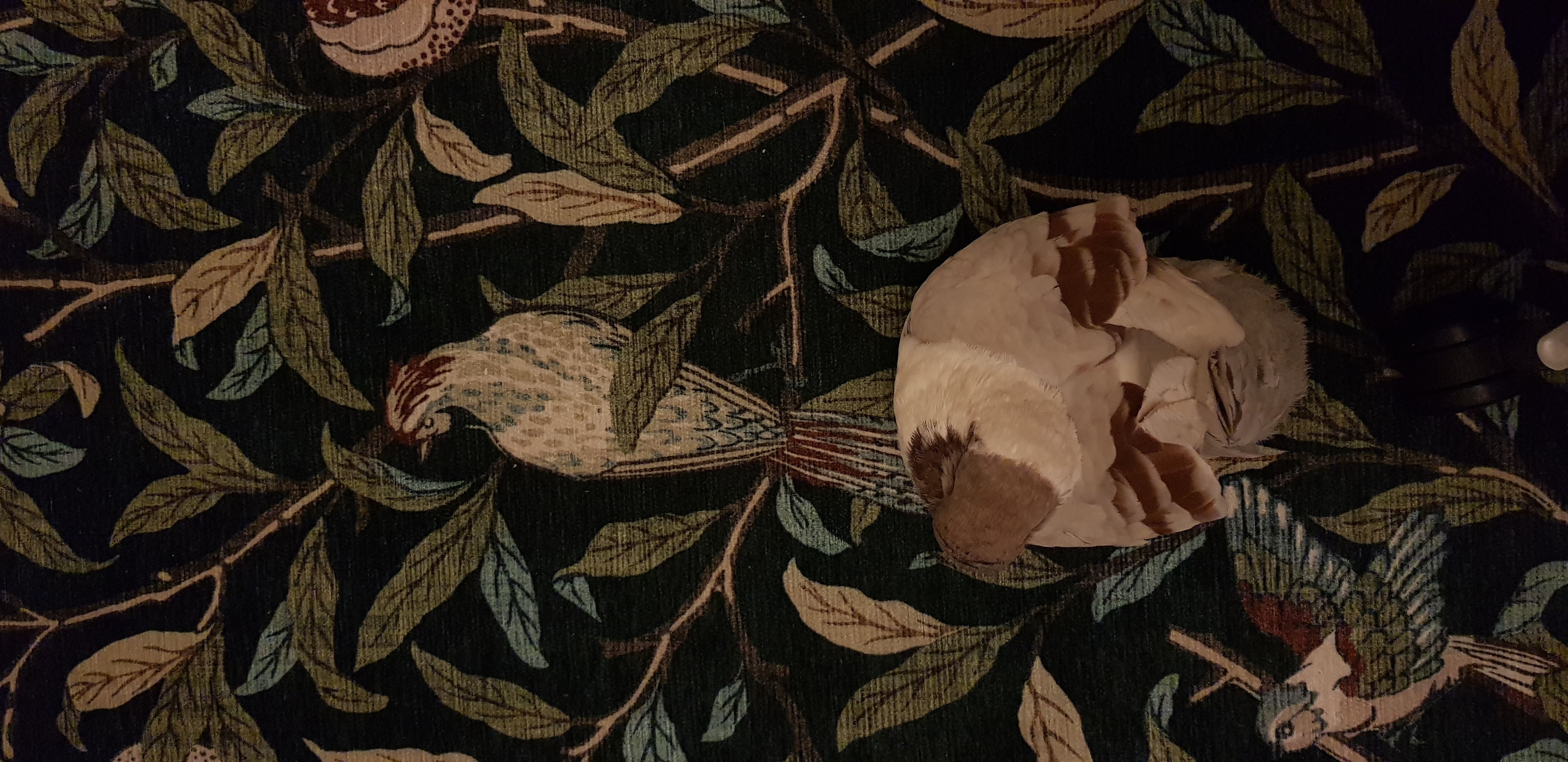 Masha standing on a new rug that has woven illustrations of leaves and birds